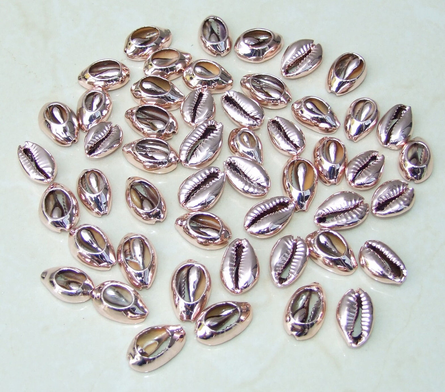 5 Multi-Colored Cowrie Shell Connector, Natural Seashell Pendant, Money Shell, Sea Shell, Plated Seashell, Shell Pendant, Beach, 16-20mm - EDGBeadsandGems