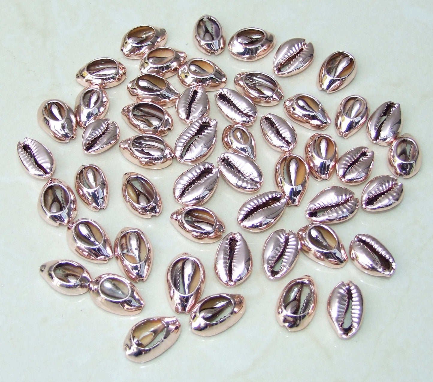 10 Multi-Colored Plated Cowrie Shell Connector, Natural Seashell Pendants, 15-20mm - EDGBeadsandGems