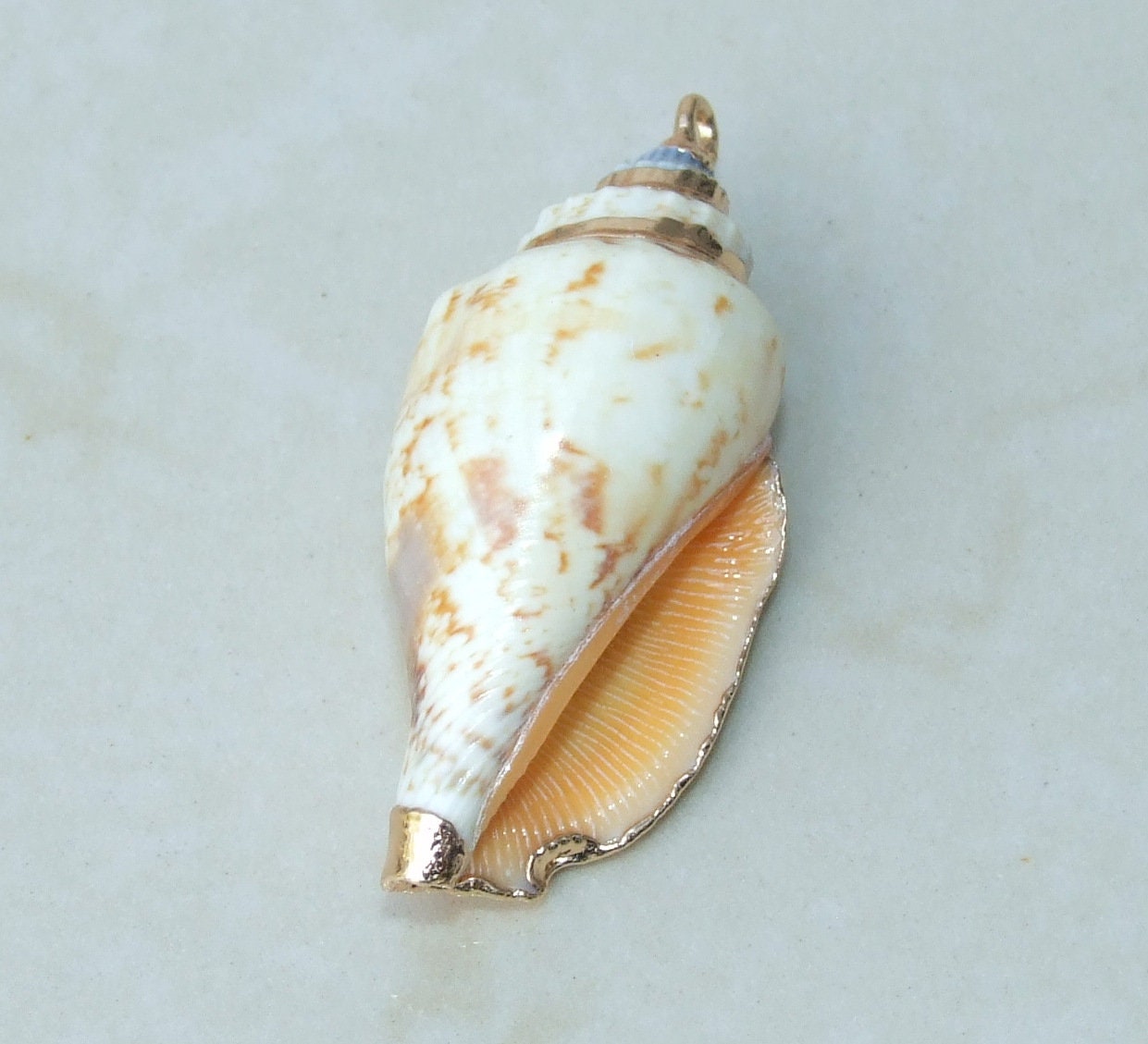 Gold Edge Natural Spiral Sea Shell Pendant, Spiral Shell Bead, Seashell Pendant, Cone Conch Shell, Beach, Ocean, Summer, Small/Large 6-02 - EDGBeadsandGems