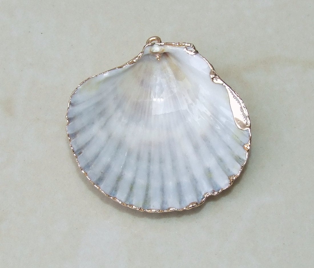 Natural Scallop Shell Pendant, Gold Edge, Deep Sea Shell, Shell Necklace, Beach Jewelry, Ocean Seashell, Medium, Large, In Three Colors, NB - EDGBeadsandGems