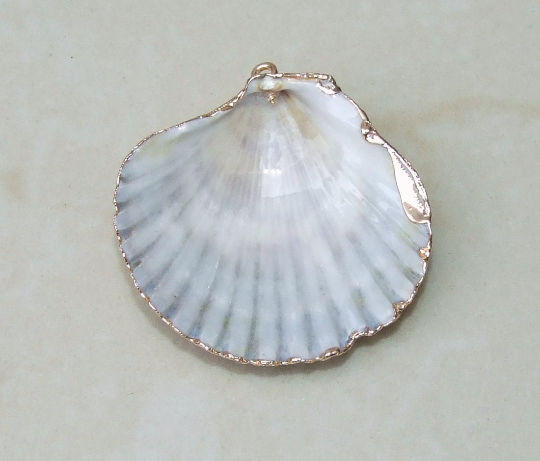 Natural Scallop Shell Pendant, Gold Edge, Natural Seashell, Deep Sea Shell, Shell Necklace, Beach Jewelry, Ocean Seashell, Medium, Large, NB - EDGBeadsandGems