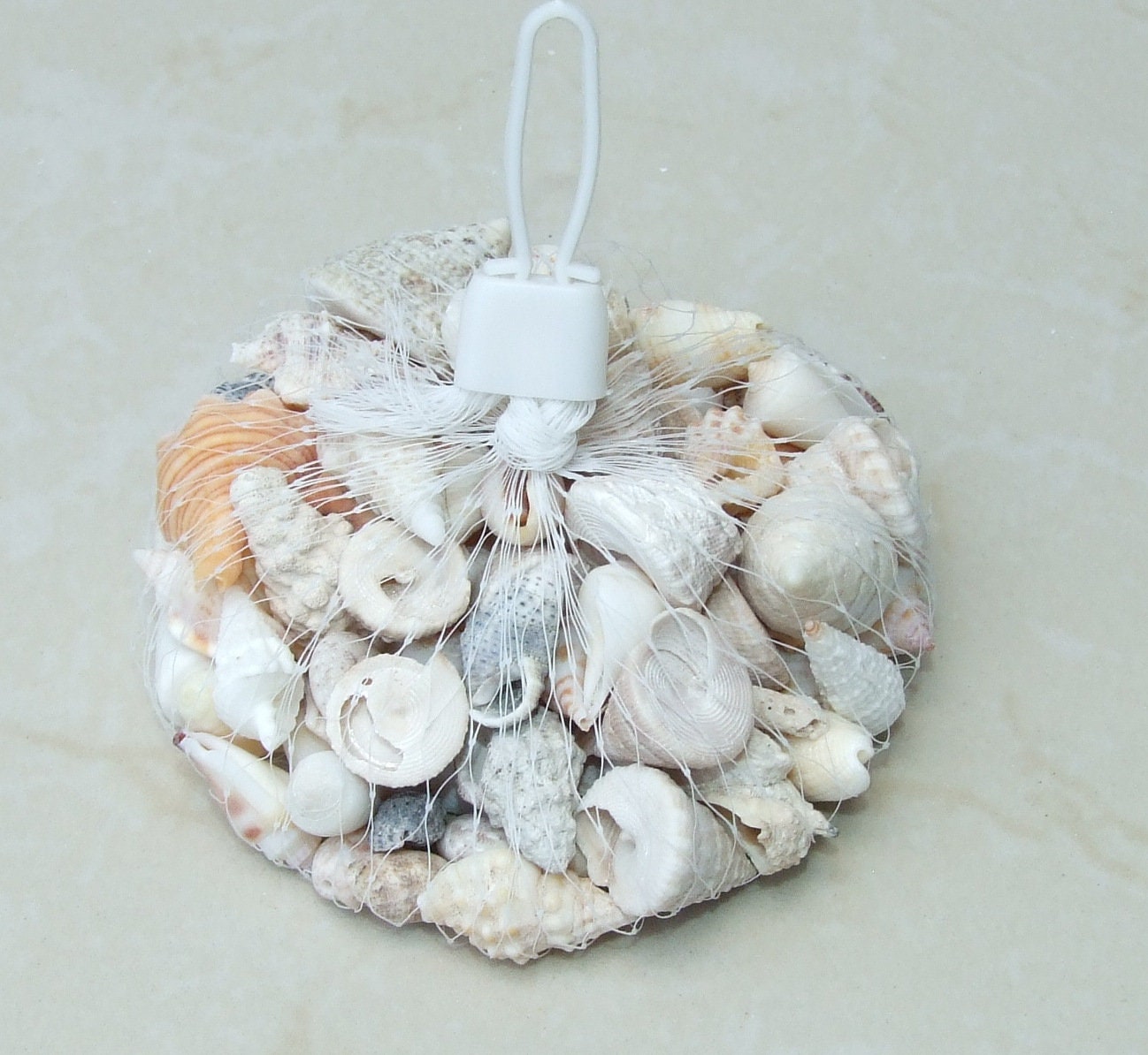 Net Full of Shells, Mixed Natural Seashells, Spiral Shells, Clam Shells, Scallop Shells, Undrilled Craft Shells, 80-100 Shells, 15-40+mm 015 - EDGBeadsandGems