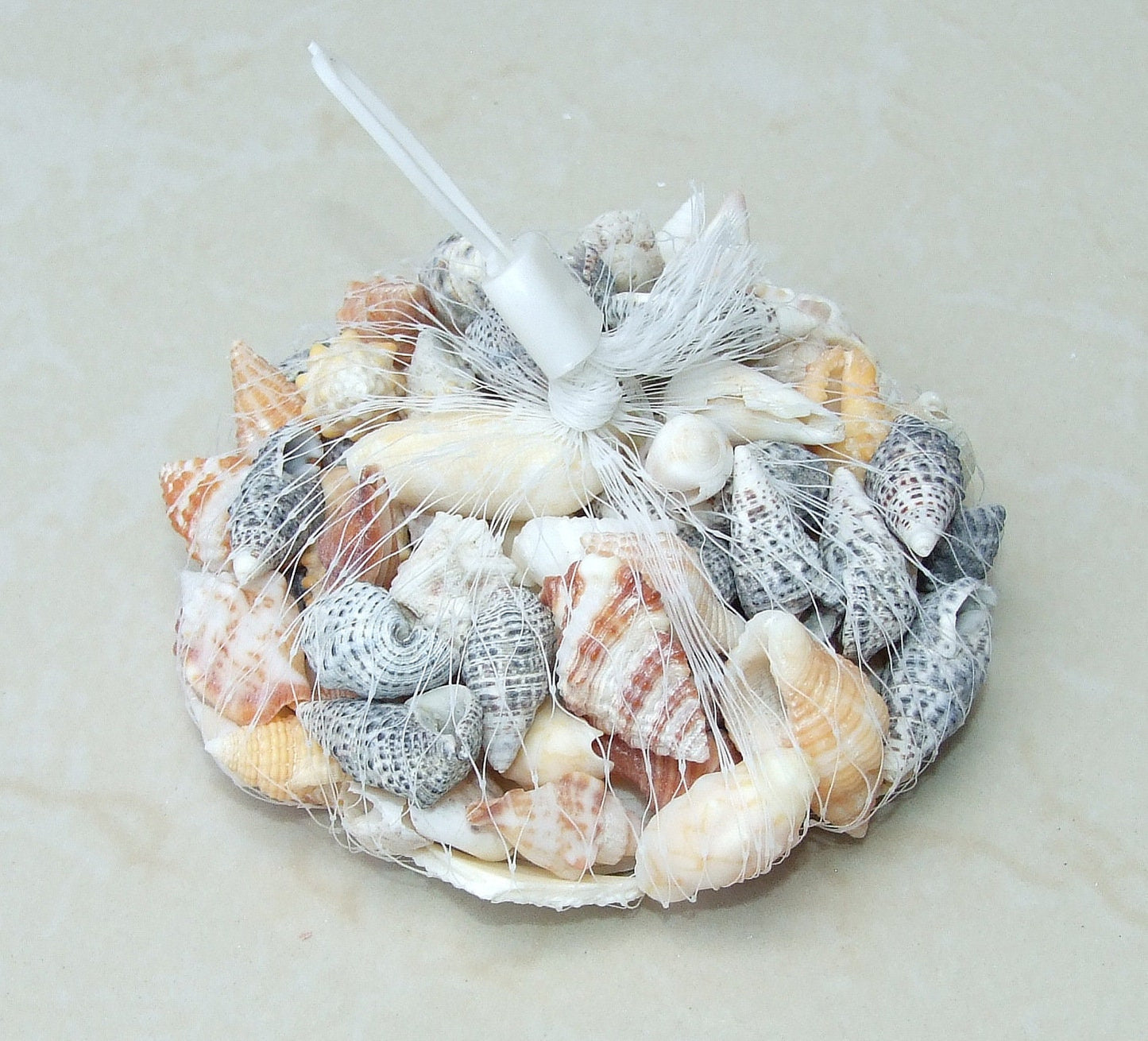Net Full of Shells, Mixed Natural Seashells, Spiral Shells, Clam Shells, Scallop Shells, Undrilled Craft Shells, 80-100 Shells, 15-40+mm 015 - EDGBeadsandGems