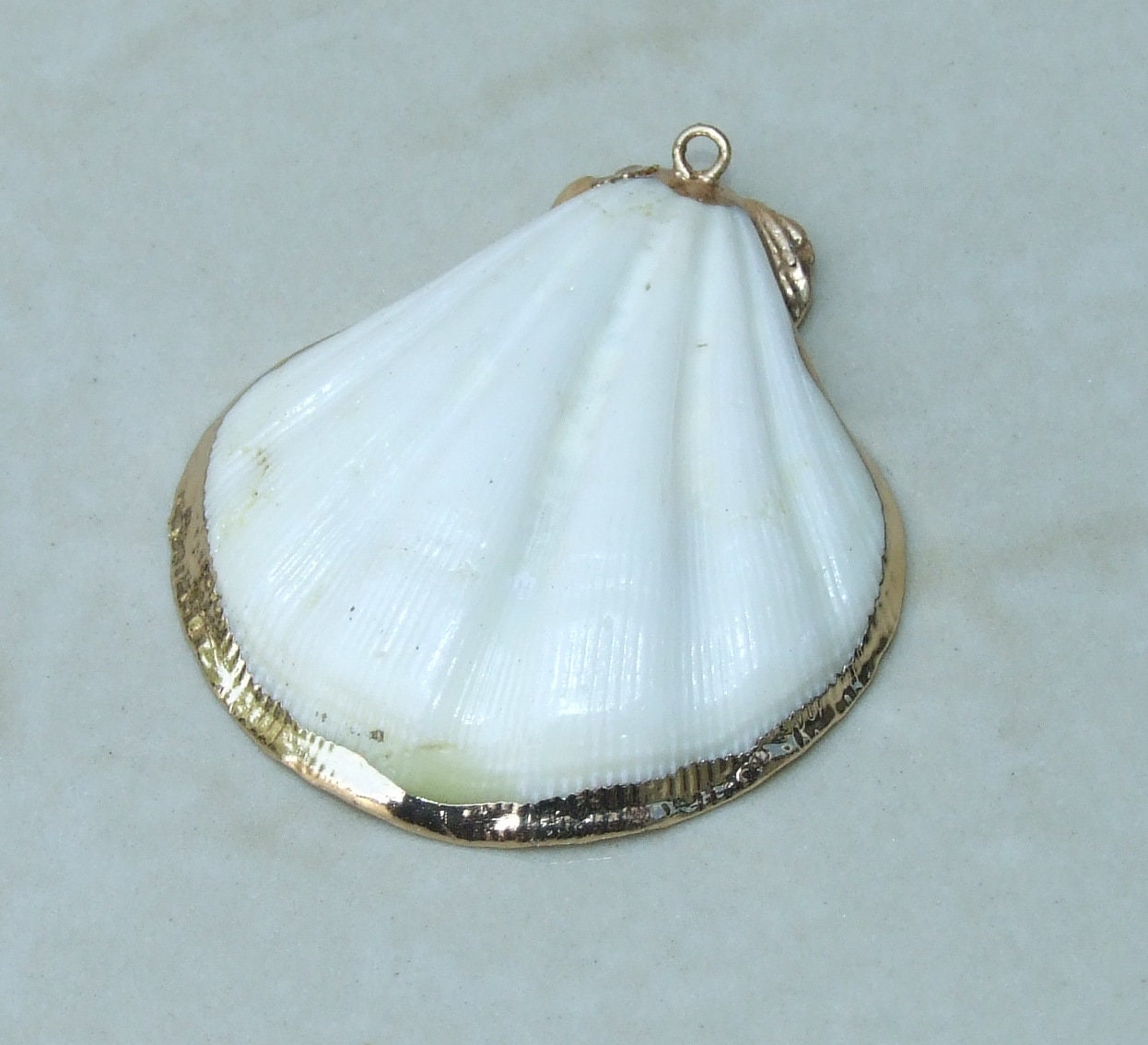 Natural Scallop Shell Pendant, Gold Edge Loop, Natural Seashell, Deep Sea Shell, Shell Necklace, Beach Jewelry, Ocean Seashell, 35-45mm W04 - EDGBeadsandGems