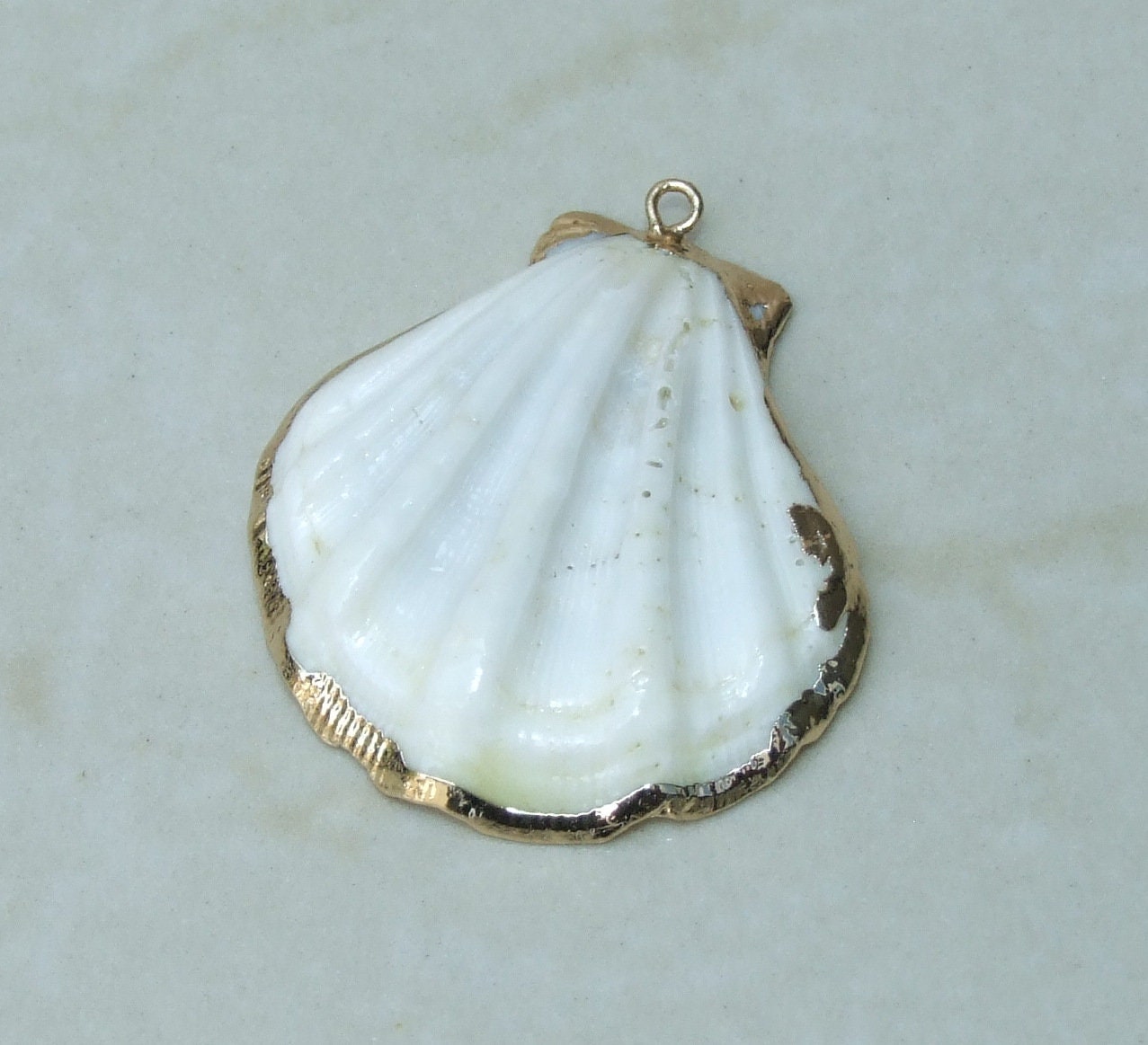 Natural Scallop Shell Pendant, Gold Edge Loop, Natural Seashell, Deep Sea Shell, Shell Necklace, Beach Jewelry, Ocean Seashell, 35-45mm W04 - EDGBeadsandGems