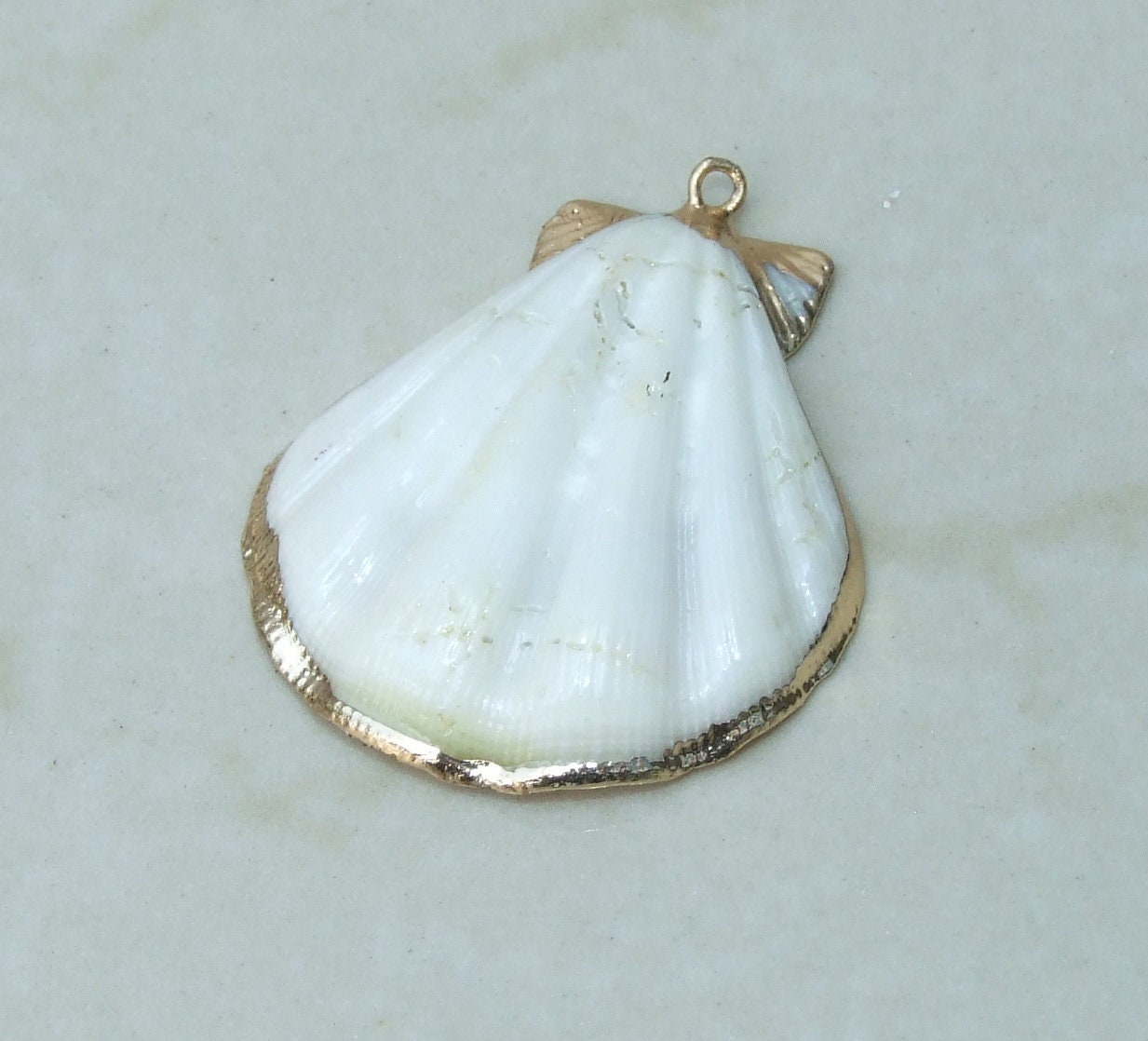 Natural Scallop Shell Pendant, Gold Edge Loop, Natural Seashell, Deep Sea Shell, Shell Necklace, Beach Jewelry, Ocean Seashell, 35-45mm W04 - EDGBeadsandGems