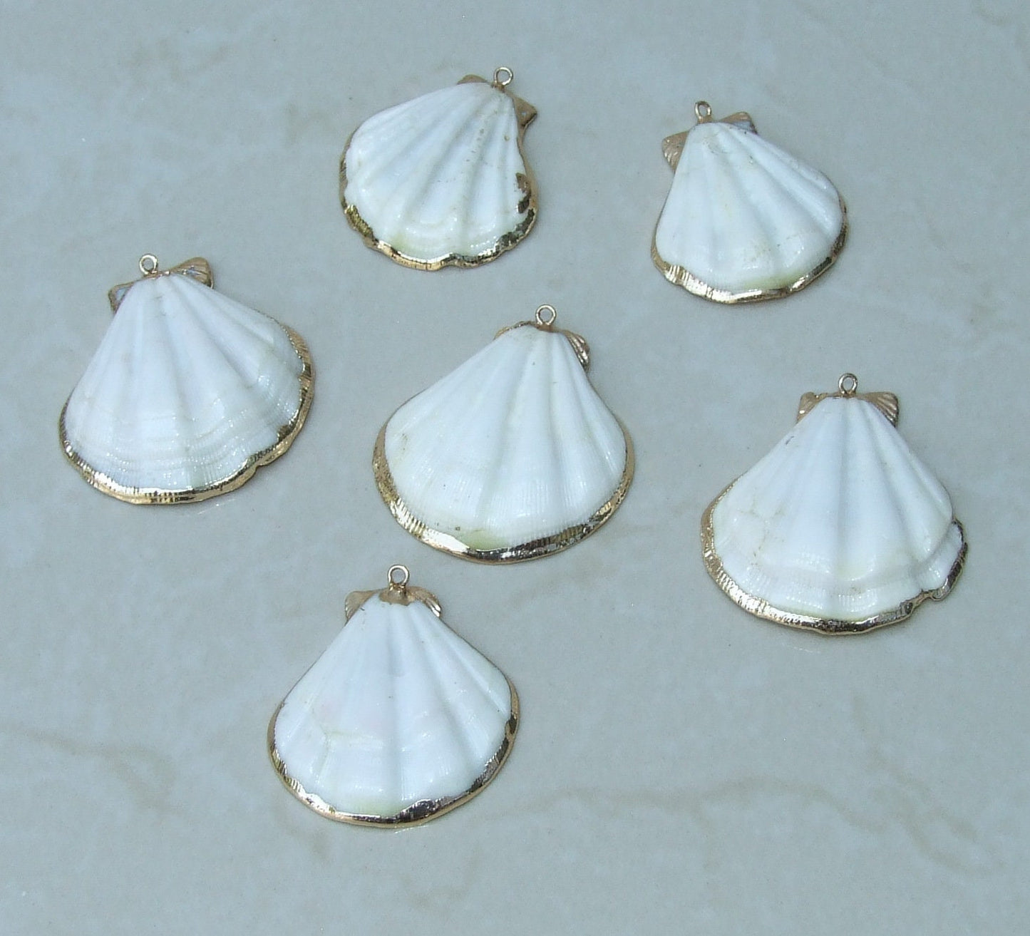 Natural Scallop Shell Pendant, Gold Edge Loop, Natural Seashell, Deep Sea Shell, Shell Necklace, Beach Jewelry, Ocean Seashell, 35-45mm W04 - EDGBeadsandGems