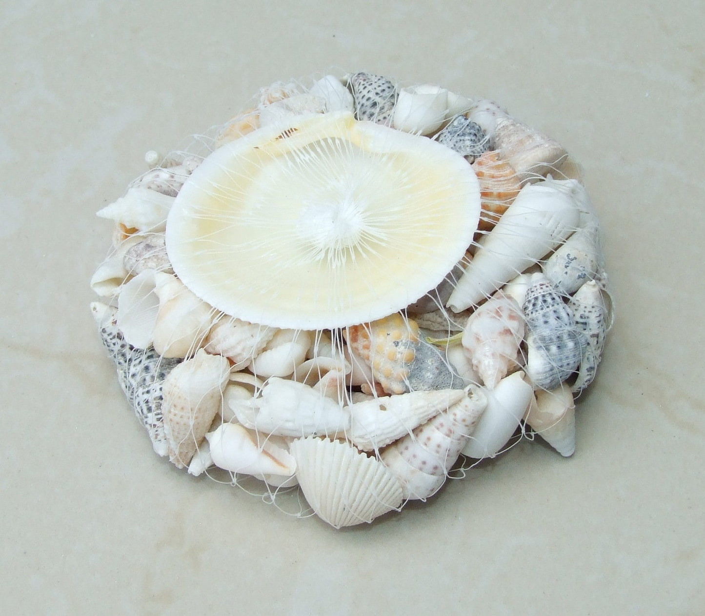 Net Full of Shells, Mixed Natural Seashells, Spiral Shells, Clam Shells, Scallop Shells, Undrilled Craft Shells, 80-100 Shells, 15-40+mm 015 - EDGBeadsandGems