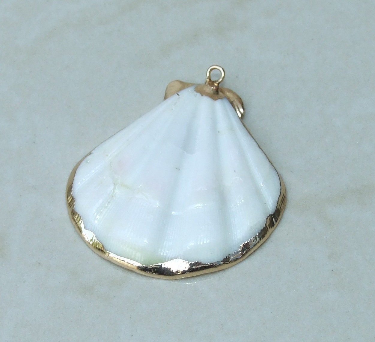 Natural Scallop Shell Pendant, Gold Edge Loop, Natural Seashell, Deep Sea Shell, Shell Necklace, Beach Jewelry, Ocean Seashell, 35-45mm W04 - EDGBeadsandGems
