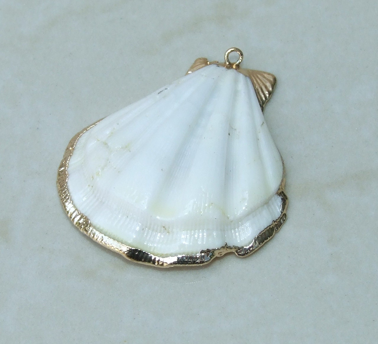 Natural Scallop Shell Pendant, Gold Edge Loop, Natural Seashell, Deep Sea Shell, Shell Necklace, Beach Jewelry, Ocean Seashell, 35-45mm W04 - EDGBeadsandGems
