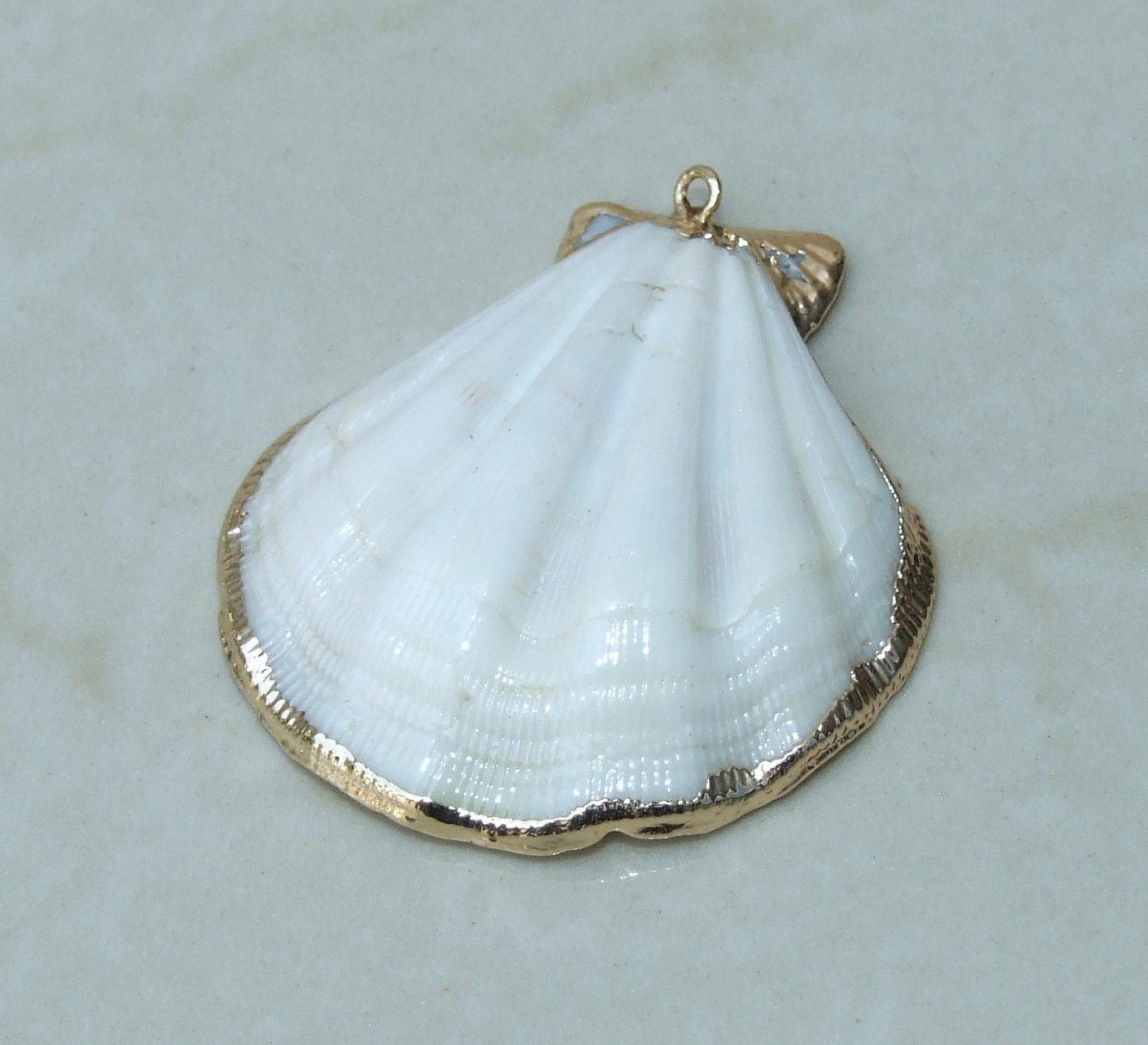 Natural Scallop Shell Pendant, Gold Edge Loop, Natural Seashell, Deep Sea Shell, Shell Necklace, Beach Jewelry, Ocean Seashell, 35-45mm W04 - EDGBeadsandGems