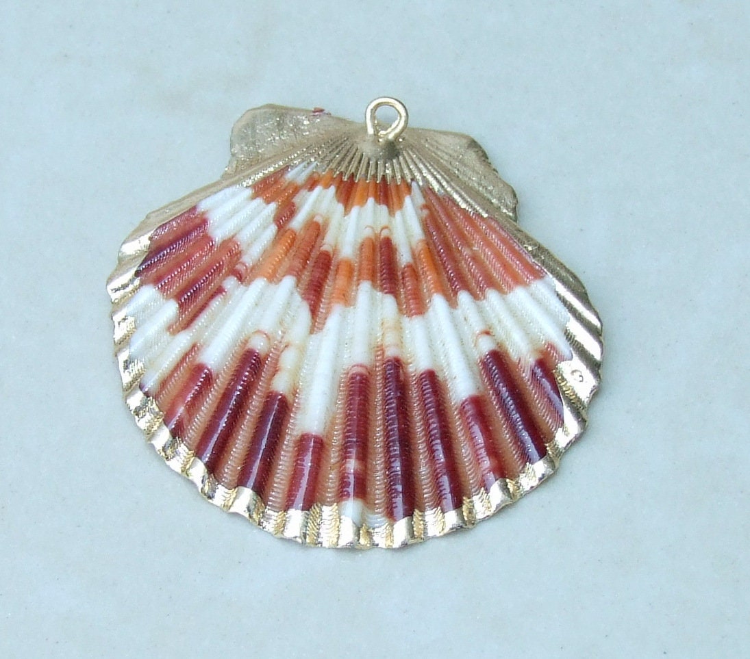 Natural Scallop Shell Pendant, Gold Edge Loop, Seashell Pendant, Seashell Necklace, Beach Jewelry, Ocean Seashell, 36mm, 45mm, 55mm 58-69 - EDGBeadsandGems