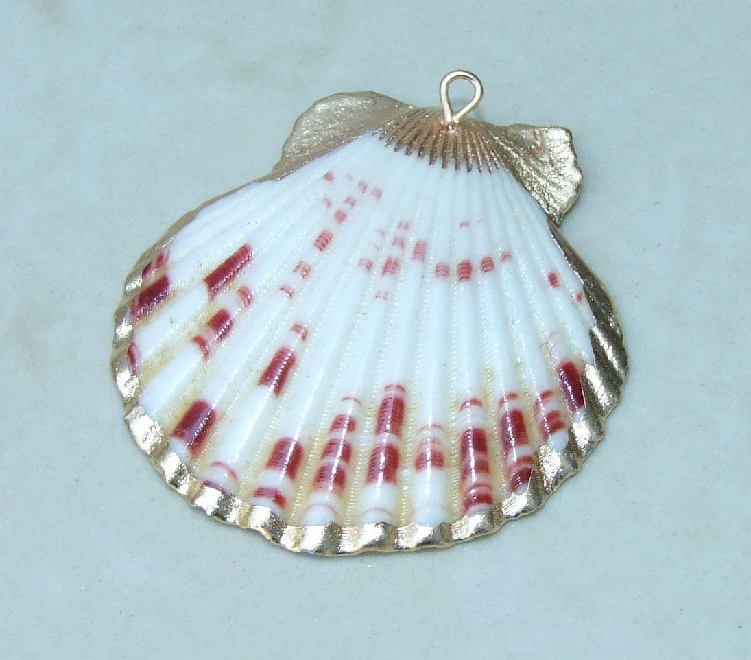 Natural Scallop Shell Pendant, Gold Edge Loop, Seashell Pendant, Seashell Necklace, Beach Jewelry, Ocean Seashell, 36mm, 45mm, 55mm 58-69 - EDGBeadsandGems