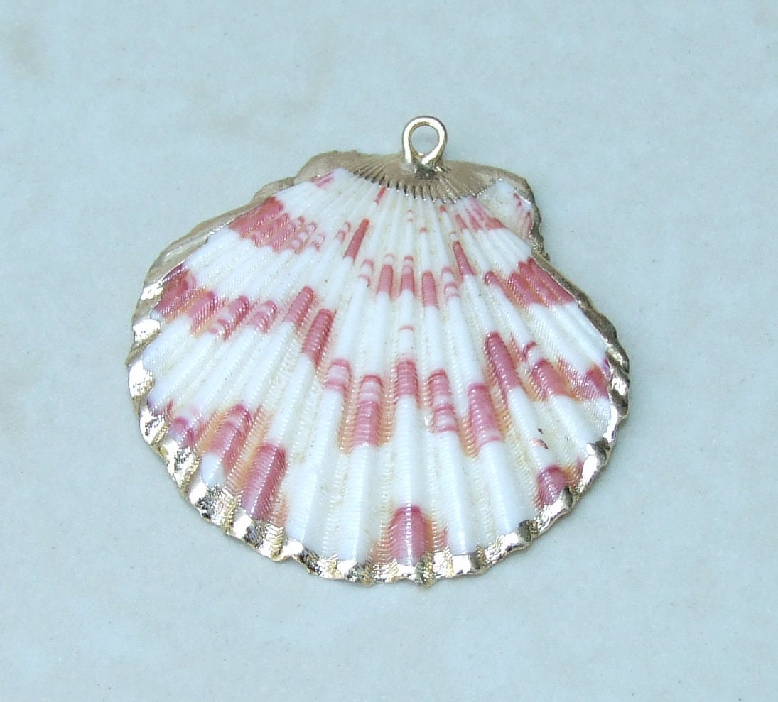 Natural Scallop Shell Pendant, Gold Edge Loop, Seashell Pendant, Seashell Necklace, Beach Jewelry, Ocean Seashell, 36mm, 45mm, 55mm 58-69 - EDGBeadsandGems