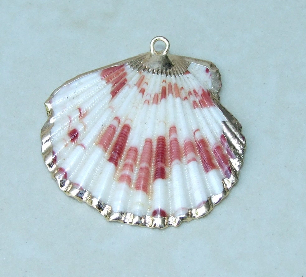 Natural Scallop Shell Pendant, Gold Edge Loop, Seashell Pendant, Seashell Necklace, Beach Jewelry, Ocean Seashell, 36mm, 45mm, 55mm 58-69 - EDGBeadsandGems