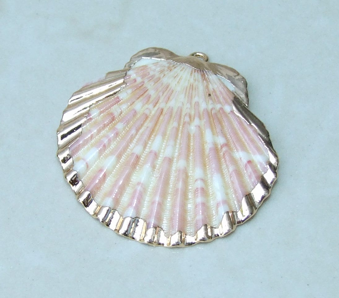 Natural Scallop Shell Pendant, Gold Edge Loop, Seashell Pendant, Seashell Necklace, Beach Jewelry, Ocean Seashell, 36mm, 45mm, 55mm 58-69 - EDGBeadsandGems