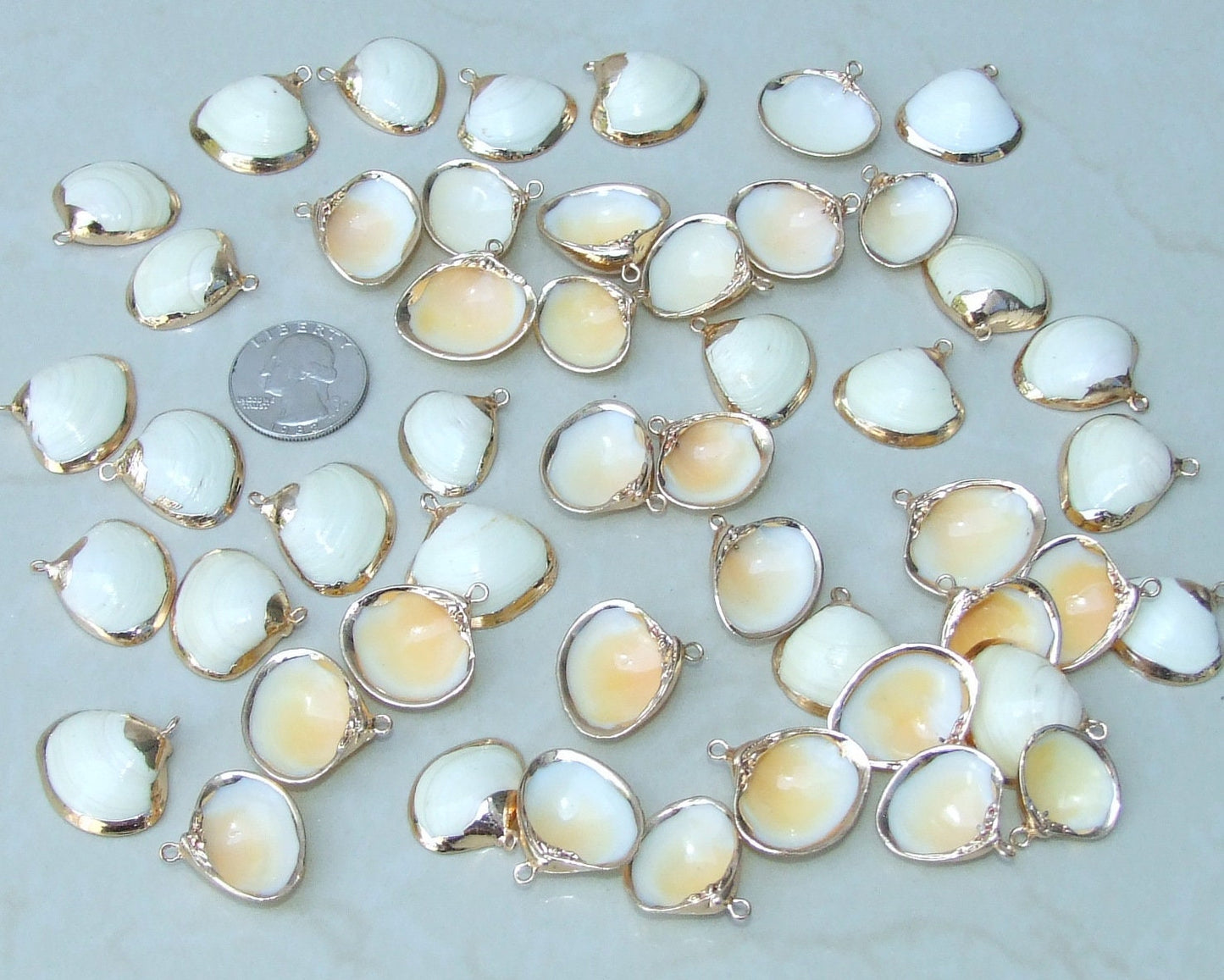 Pair of Small Clam Shell Pendant, Gold Edge Loop, Natural Seashell, Seashell Necklace, Beach Jewelry, Ocean Seashell, 20- 30mm, 09-18 - EDGBeadsandGems