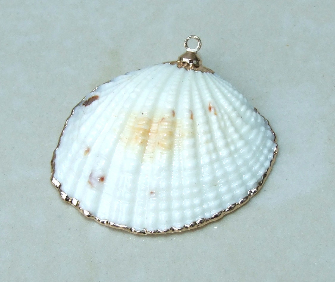 Natural Clam Shell Pendant, Gold Edge Loop, Natural Seashell, Deep Sea Shell, Shell Necklace, Beach Jewelry, Ocean Seashell, 25-33mm 6-04 - EDGBeadsandGems