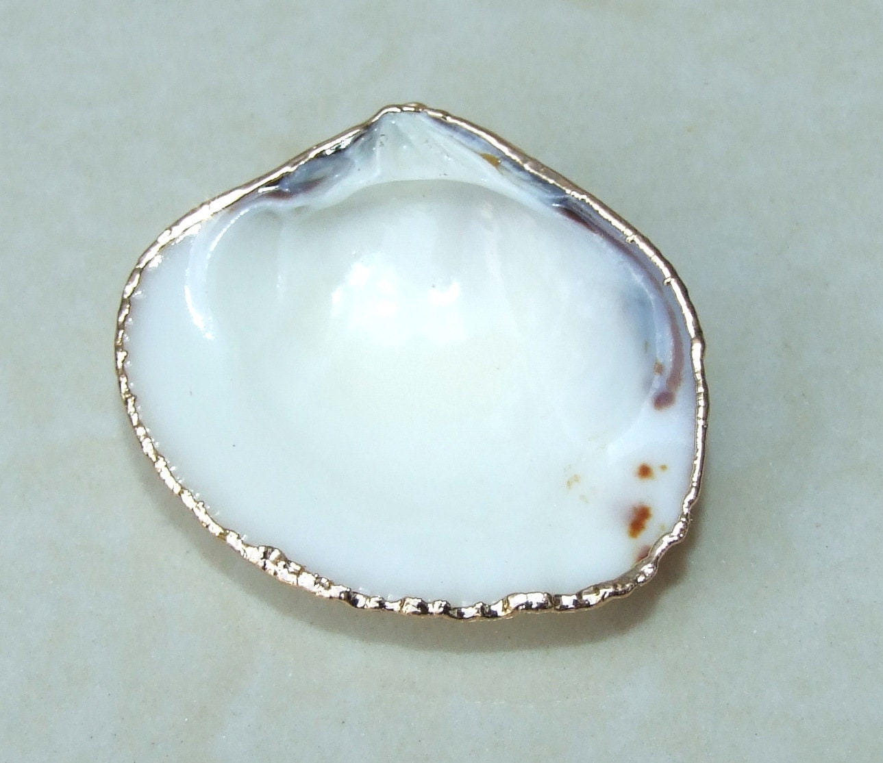 Natural Clam Shell Pendant, Gold Edge Loop, Natural Seashell, Deep Sea Shell, Shell Necklace, Beach Jewelry, Ocean Seashell, 25-33mm 6-04 - EDGBeadsandGems