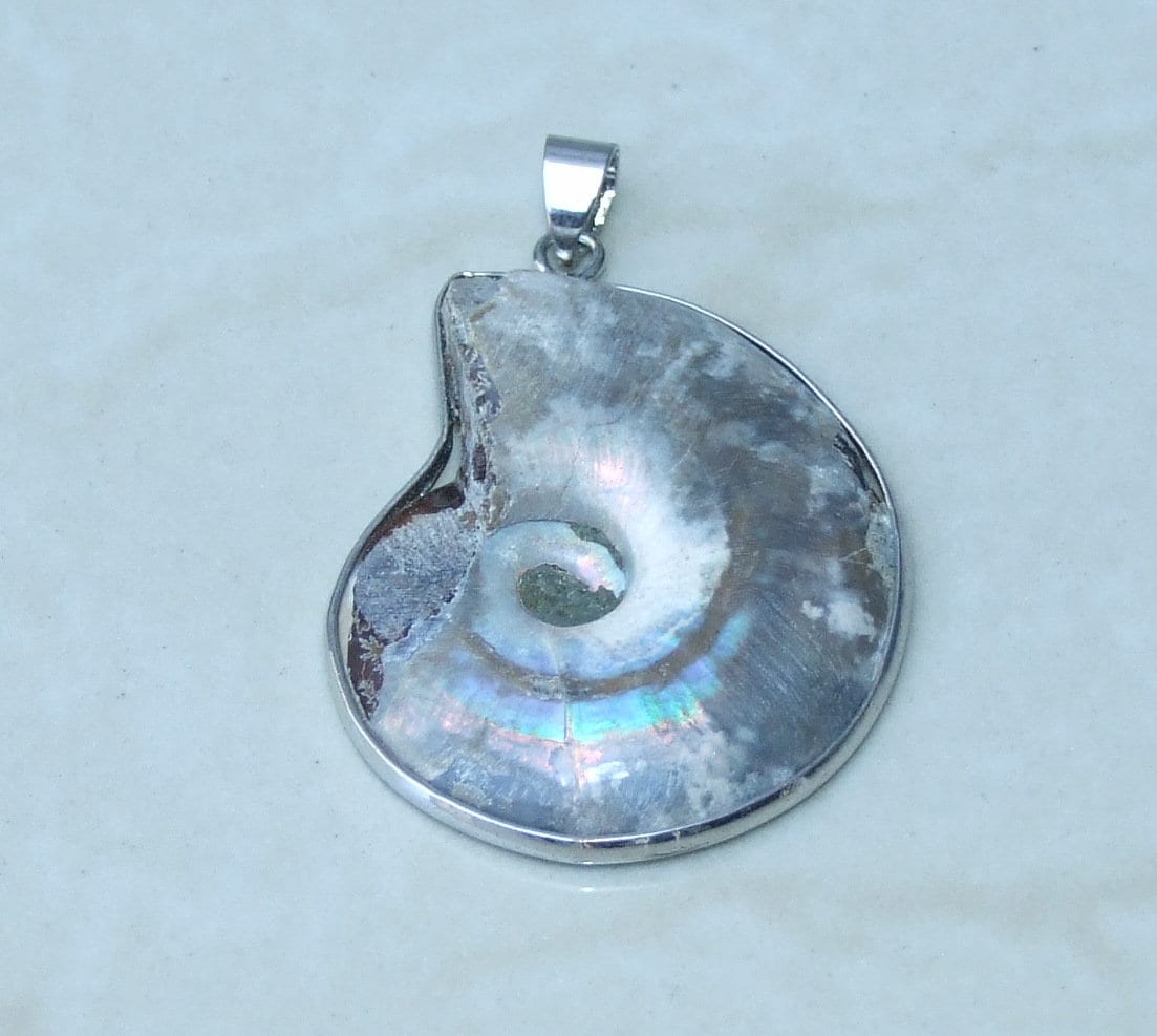 Ammonite Pendant, Fossil Pendant, Shell Pendant, Gemstone Pendant, Ammonite Slice, Nautilus Fossil, Silver Bezel & Bail, 32mm x 37mm, 8170 - EDGBeadsandGems