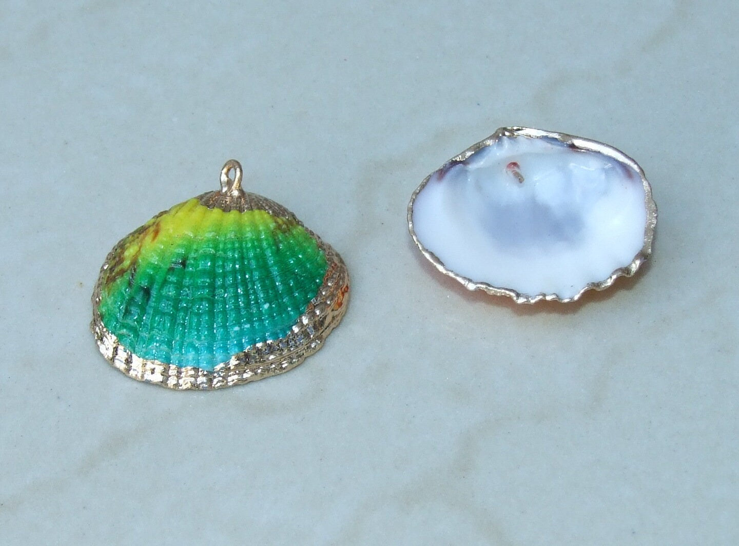 Small Gold Edge Natural Seashell, Sea Shell Pendant, Clam Shell, Shell Bead Pendant, Ocean, Beach, Summer Jewelry, BOHO, 25mm to 28mm 8-30 - EDGBeadsandGems