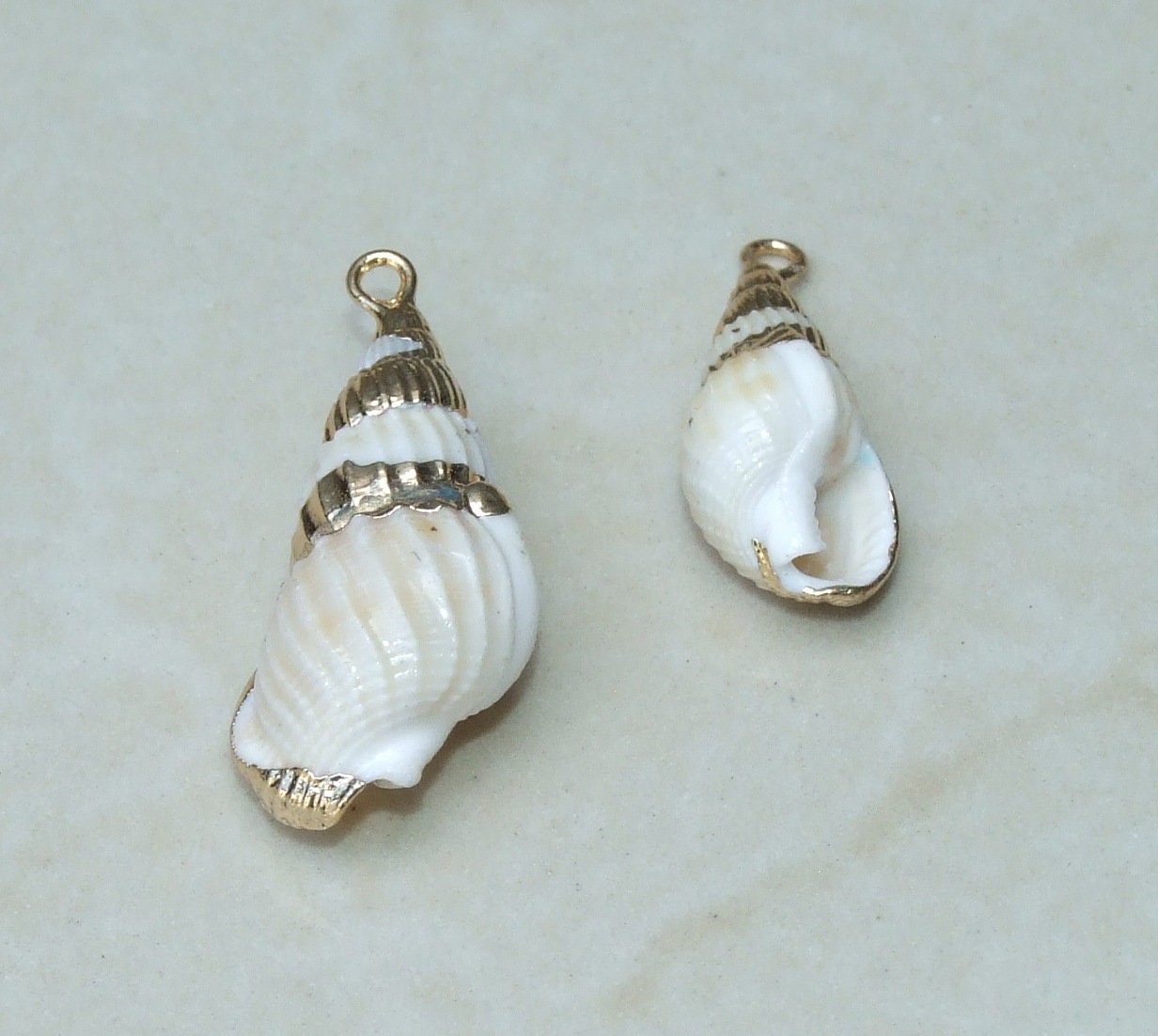 Small Gold Edge SeaShell Pendant, Natural Sea Shell, Spiral Shell Pendant, Shell Bead, Shell Jewelry, Seashell Pendant - 20-22mm, 9-23 - EDGBeadsandGems
