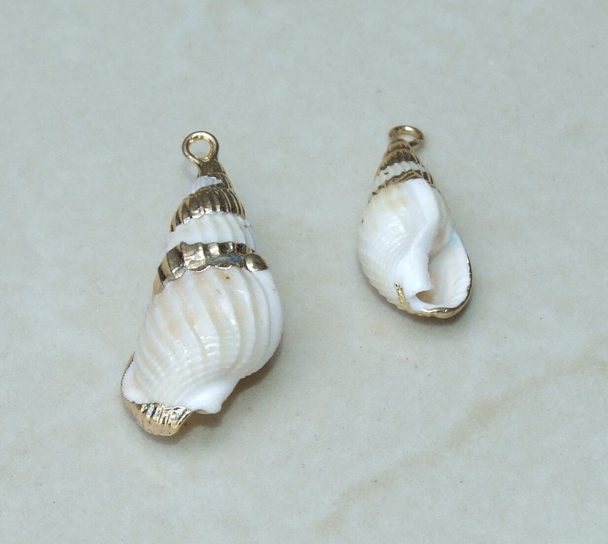 One Pair, Small Natural Seashell Pendant, Gold Edged Beach Jewelry, Real Sea Shell Charm Necklace, Coastal Boho Gift for Her - 20-25mm, 9-23 - EDGBeadsandGems