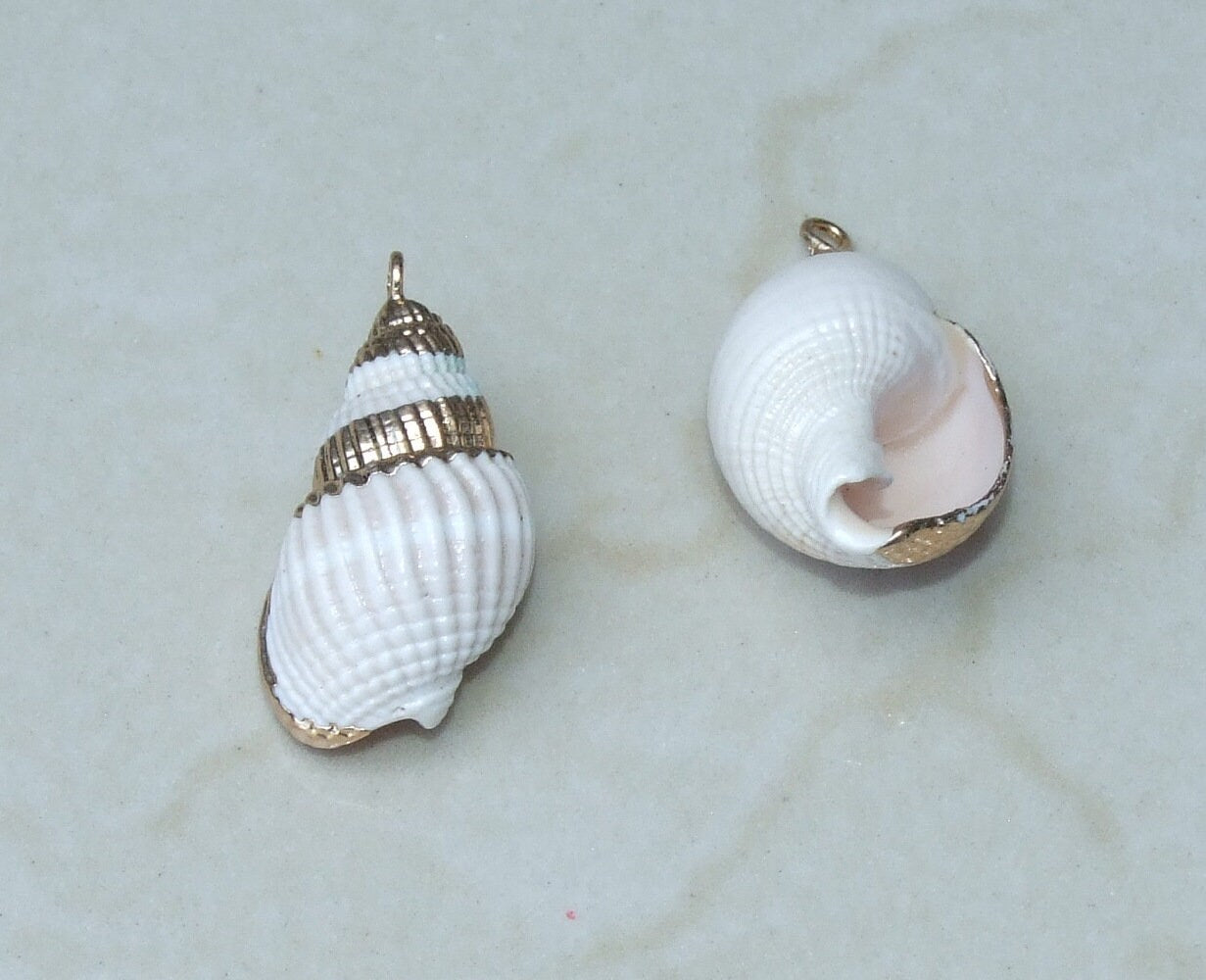 Small Pair Gold Edge Natural Sea Shell Pendant, Spiral Shell Bead, Seashell Pendant, Conch Shell, Beach, Ocean, Summer Jewelry 6-15 - EDGBeadsandGems