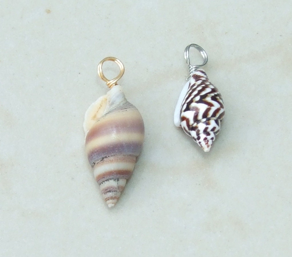 Ten Small Natural Spiral Seashell Pendants, Spiral Shell Bead, Seashell Pendant, Ocean Shell Jewelry, Conch Shell, 15-25mm, 159 - EDGBeadsandGems