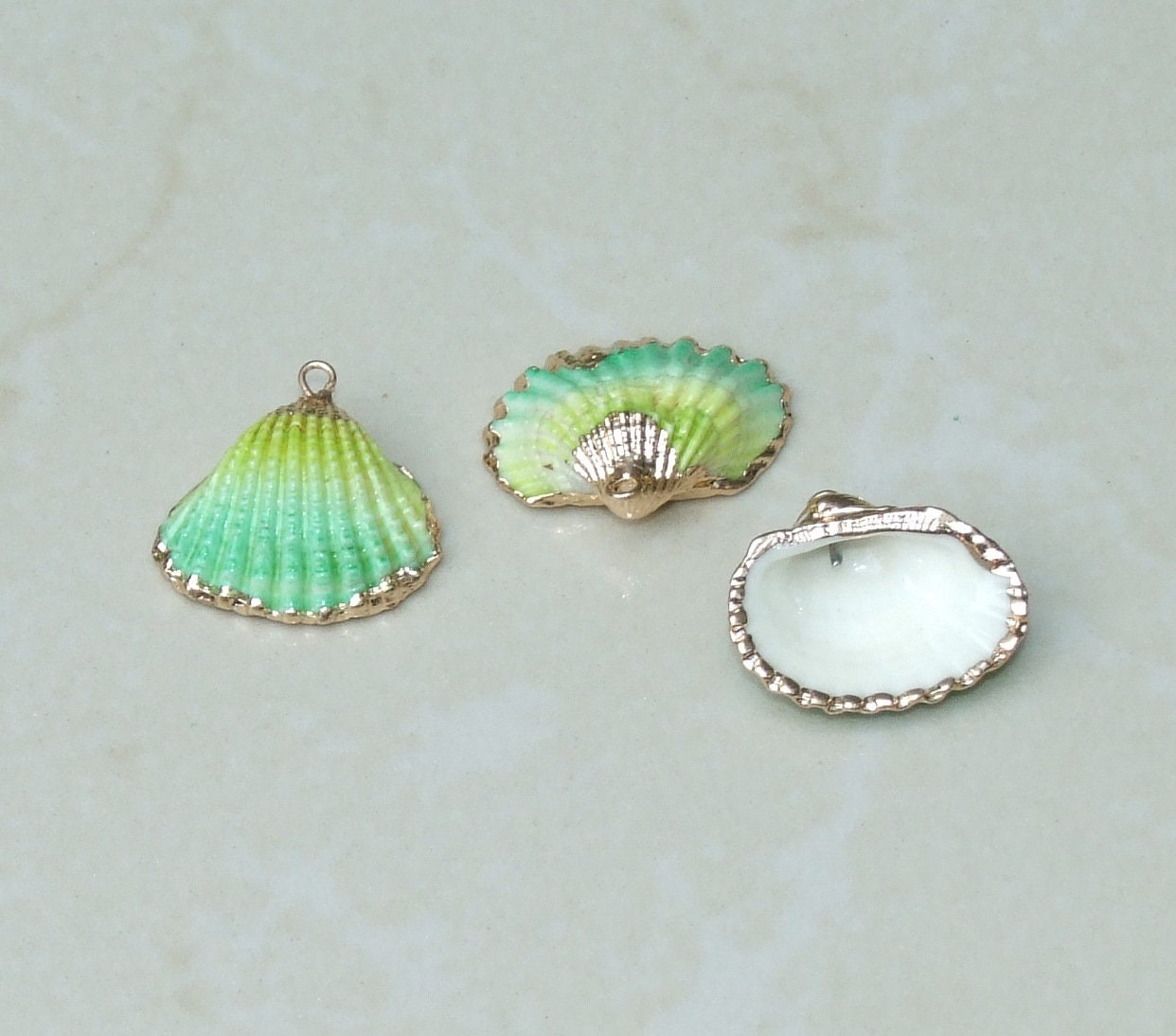 Small Gold Edge Natural Seashell, Sea Shell Pendant, Clam Shell, Shell Bead Pendant, Ocean, Beach, Summer Jewelry, BOHO, 25mm to 28mm 07B - EDGBeadsandGems