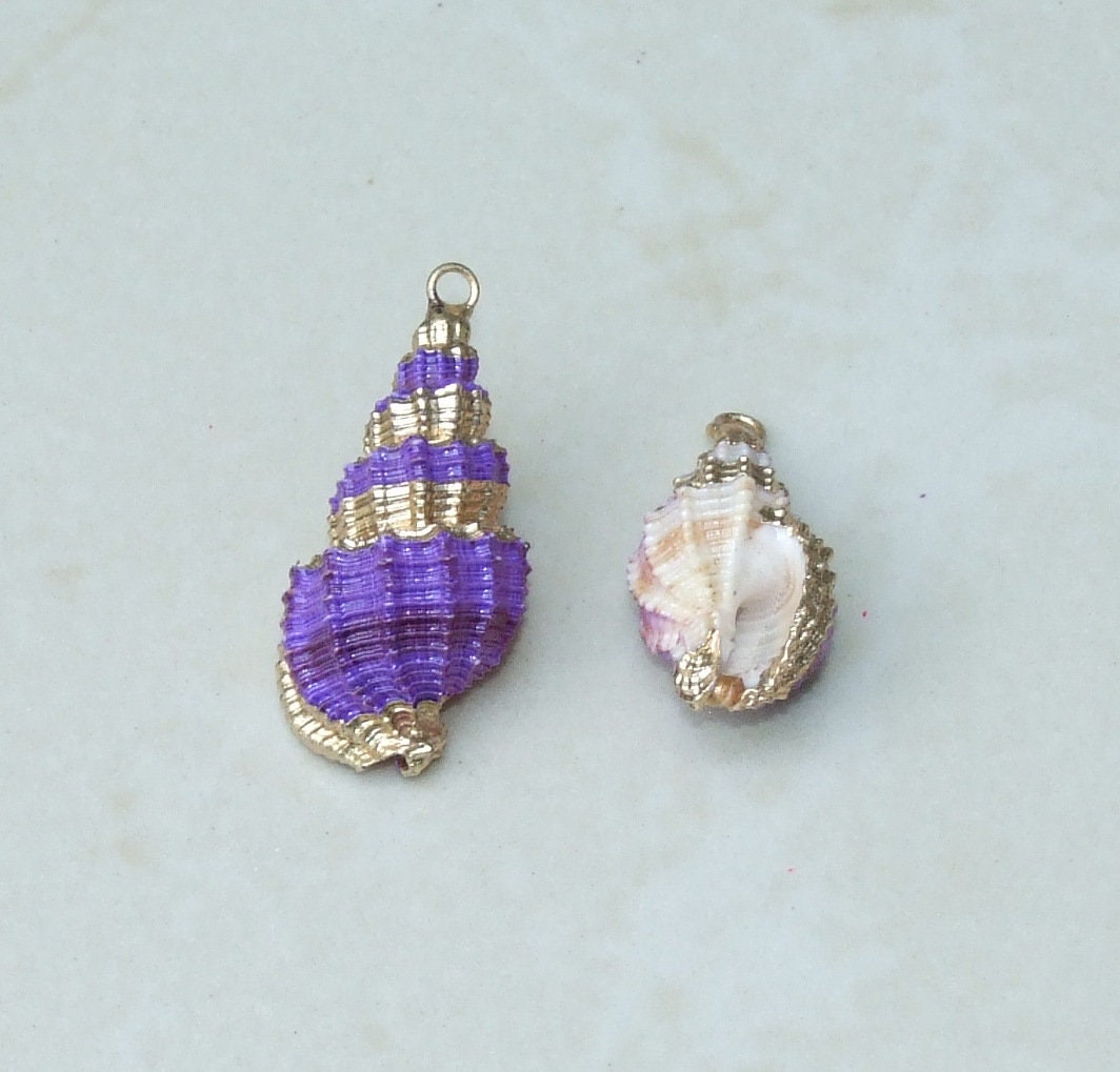 Natural Gold Edge Spiral Sea Shell Pendant, Spiral Shell Bead, Seashell Pendant, Shell Jewelry, Conch Shell, Ocean Jewelry, 25-40mm, 06D - EDGBeadsandGems