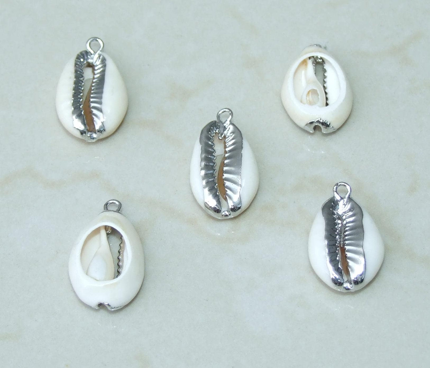 4/10 Gold or Silver Plated Cowrie Shell Money Shell Pendants, Natural Shell Beach Jewelry, Beach Necklace, Seashell jewelry, 18-22mm, 4-19 - EDGBeadsandGems