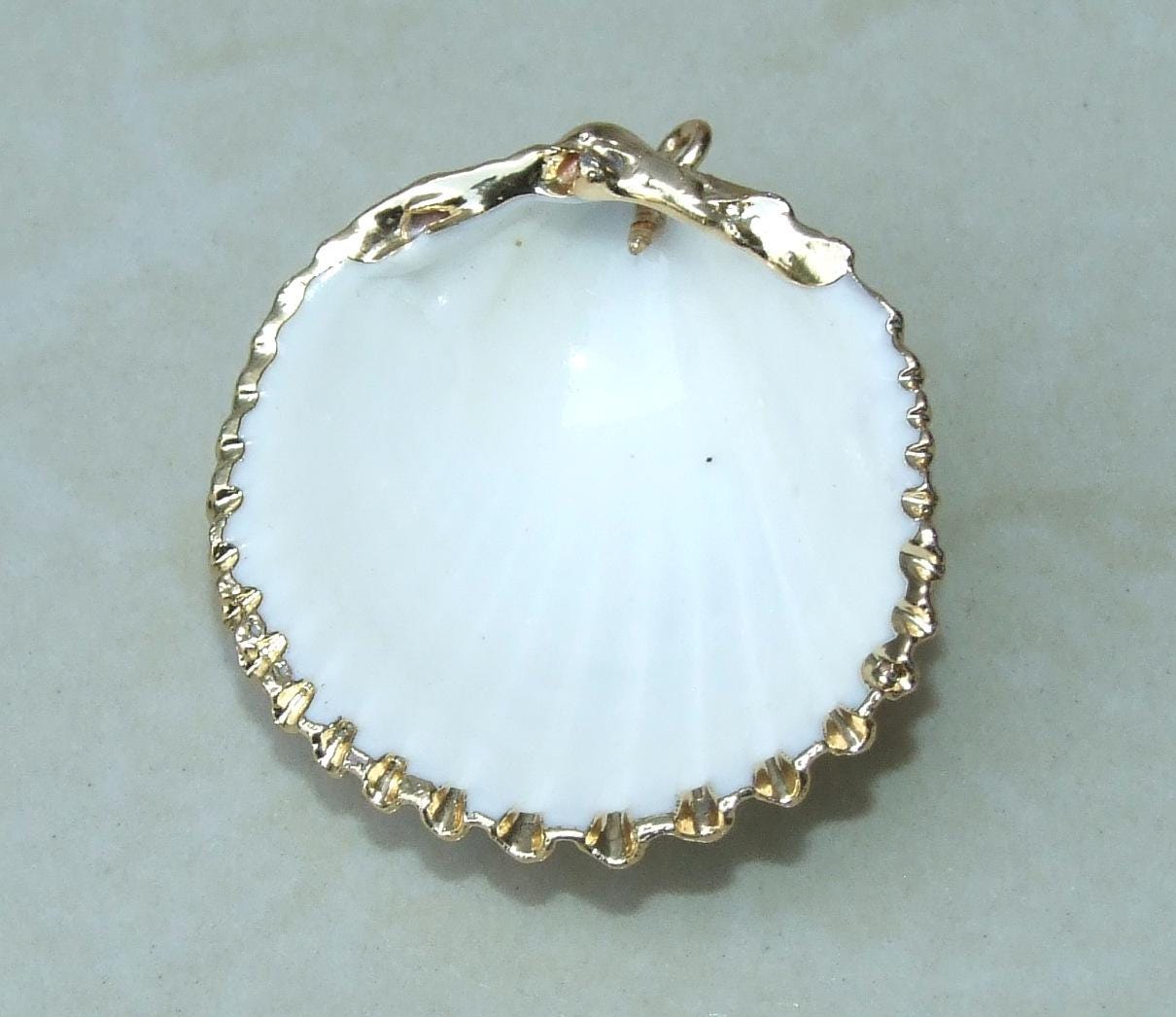 Natural Sea Shell Pendant, Seashell Bead, Shell Pendant, Charm, Clam Shell, Shell Jewelry, Beach Jewelry, White and Gold - 40/55mm - 61-05 - EDGBeadsandGems