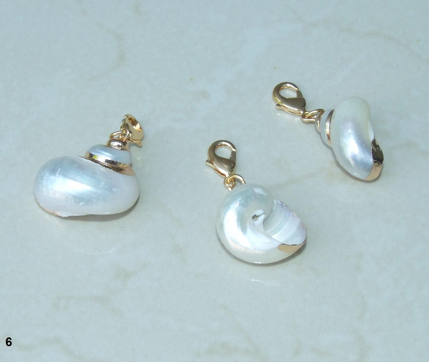 Conch Spiral Shell Pendant, Gold or Silver Edge, Natural Seashell, Seashell Necklace, Beach Jewelry, Ocean Seashell, 25-35mm, 36-02 - EDGBeadsandGems