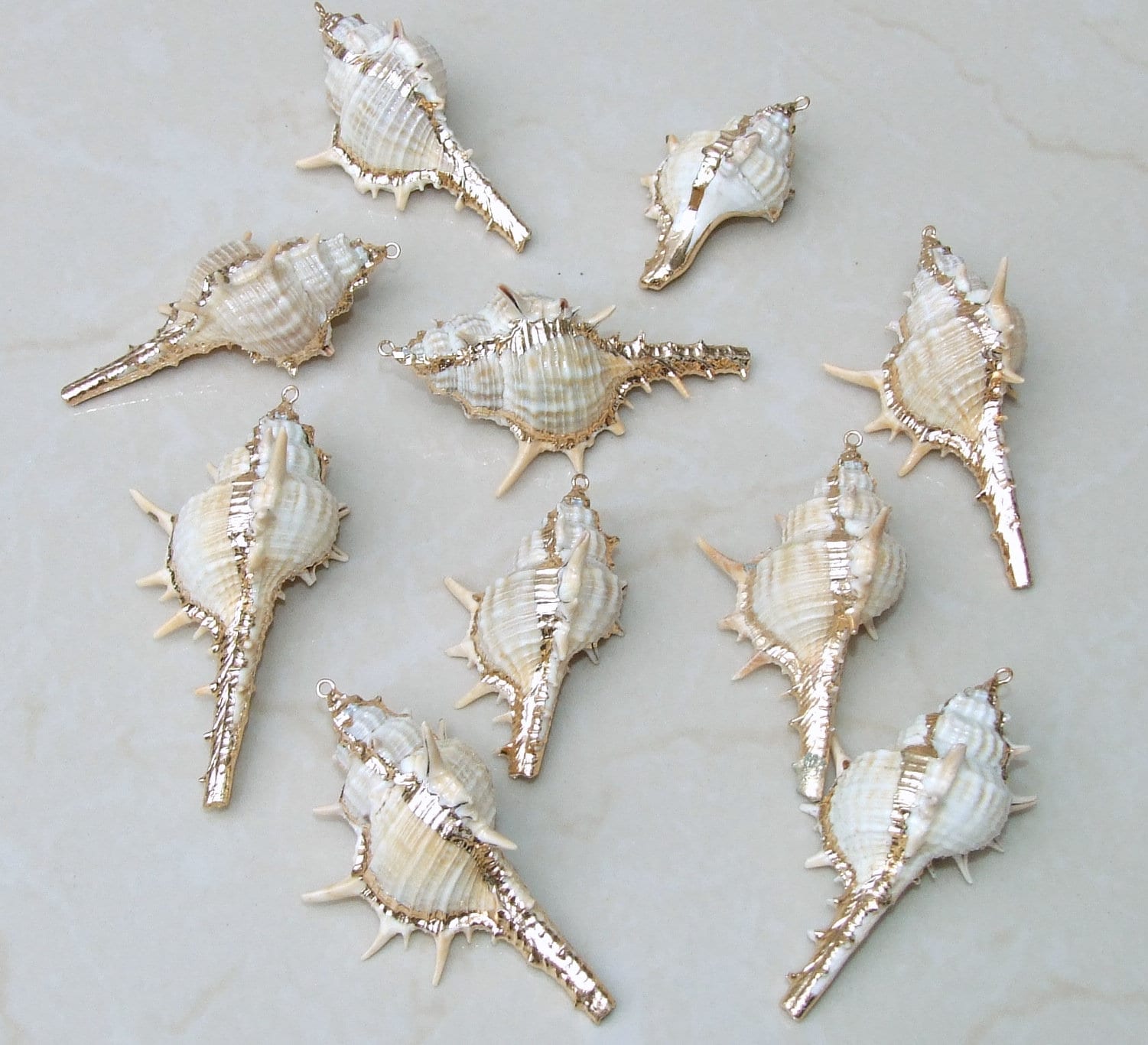 Natural Sea Shell Beads Jewelry Making Shells Strand Beautiful