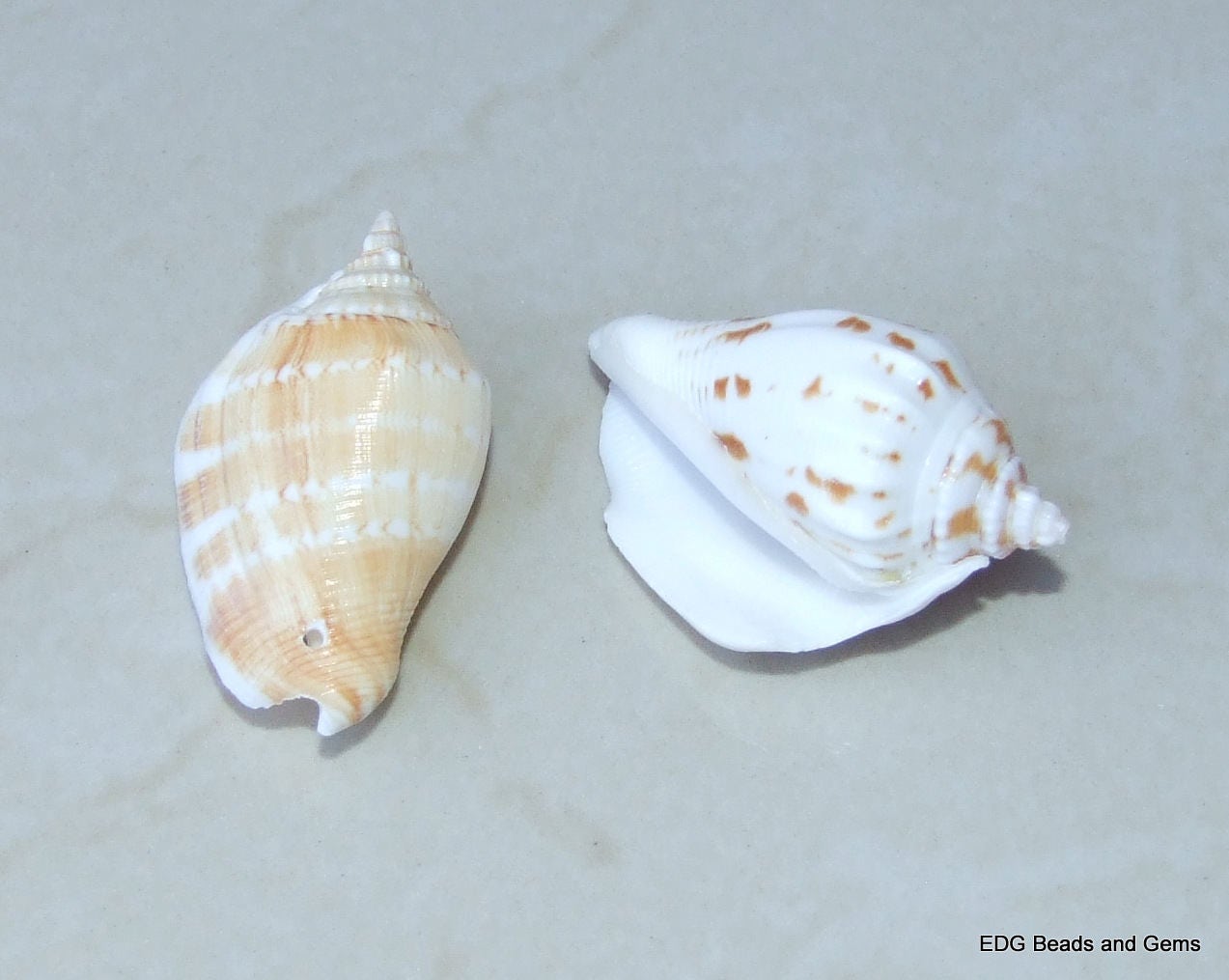 4 Large Natural Conch Sea Shell, Spiral Shell Bead, Seashell, Shell Bead, Beach Decor, Ocean Shell, Beach Jewelry, 40mm - 45mm - 007-57 - EDGBeadsandGems