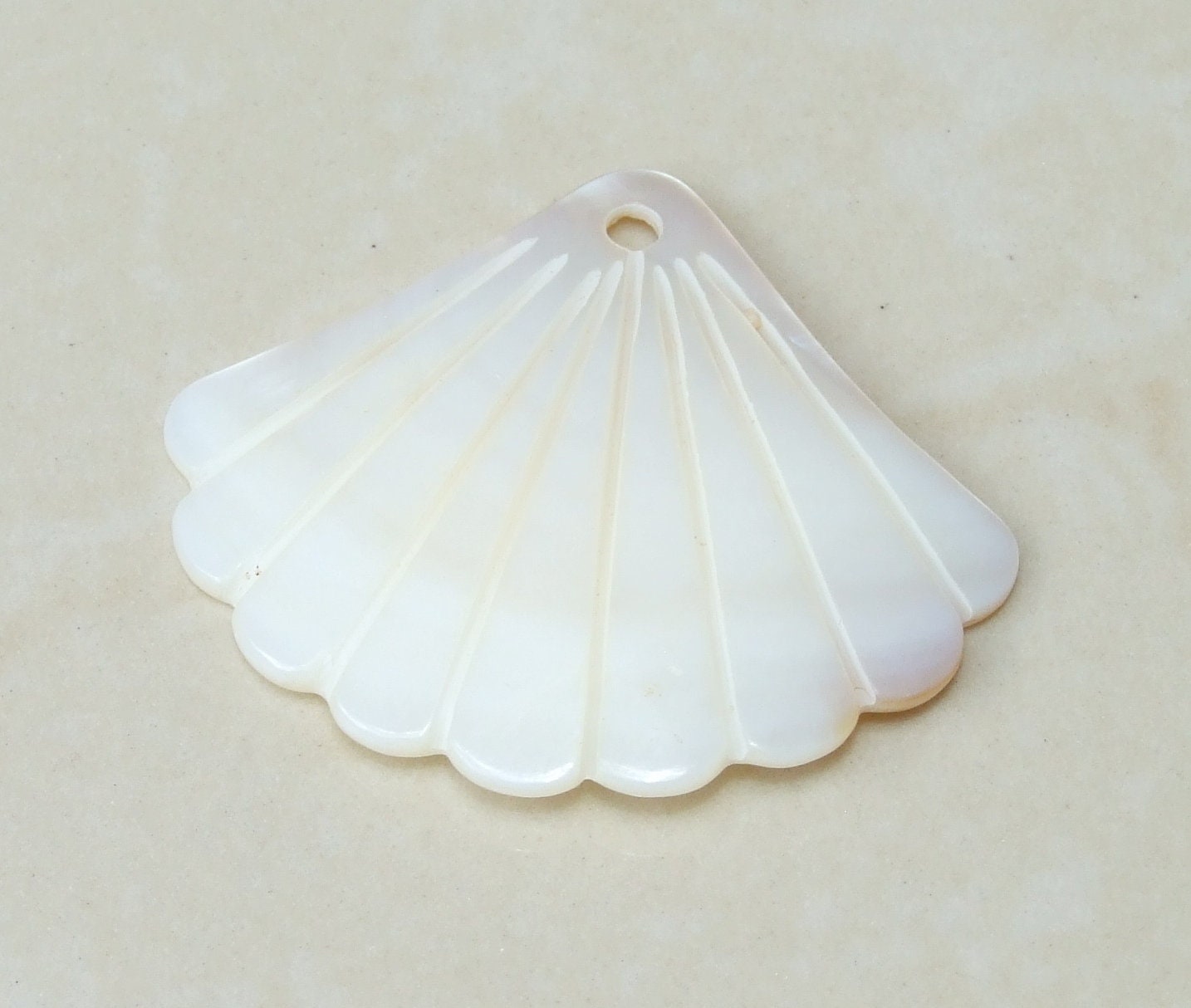 5pcs Freshwater Shell Fan Pendant, Natural Shell - Gemstone Pendant - Carved - Wheat Color Matrix - Beach - Ocean - BOHO - 45mm x 50mm - EDGBeadsandGems