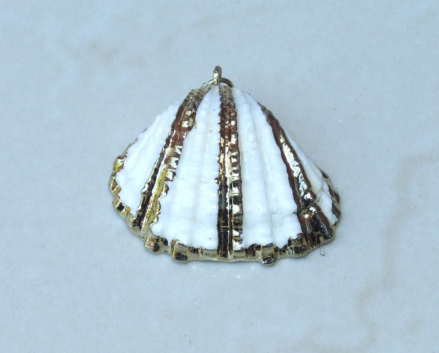 Gold Seashell, Natural Sea Shell Pendant, Clam Shell, Bead Pendant, Gold Plated, Ocean, Beach, Summer, BOHO, 25mm to 33mm - EDGBeadsandGems