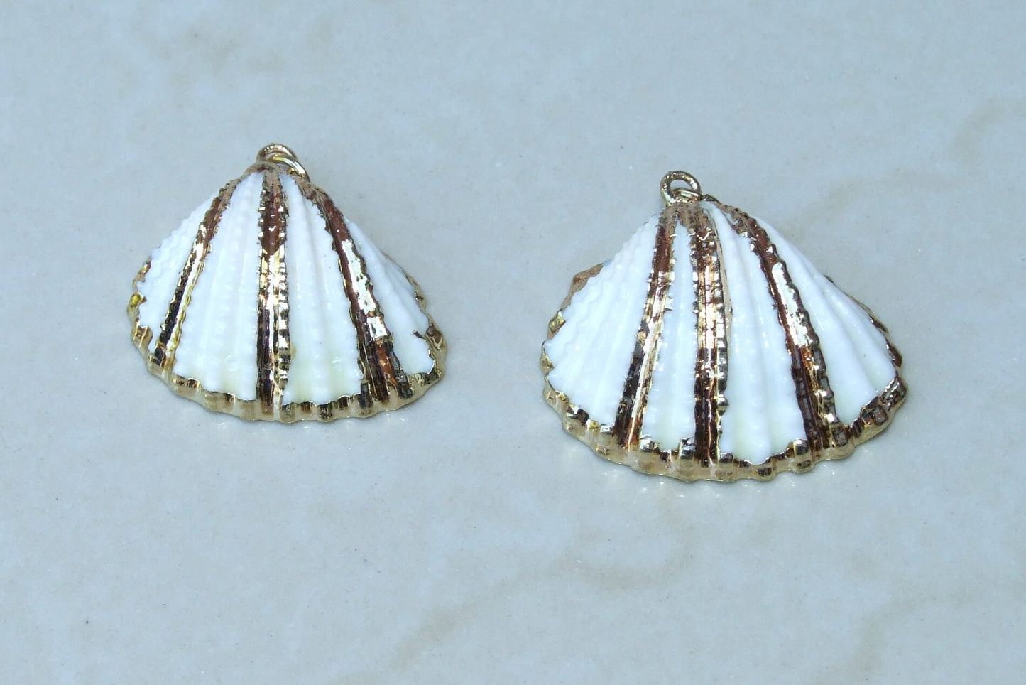 Gold Seashell, Natural Sea Shell Pendant, Clam Shell, Bead Pendant, Gold Plated, Ocean, Beach, Summer, BOHO, 25mm to 35mm, 16A-G - EDGBeadsandGems