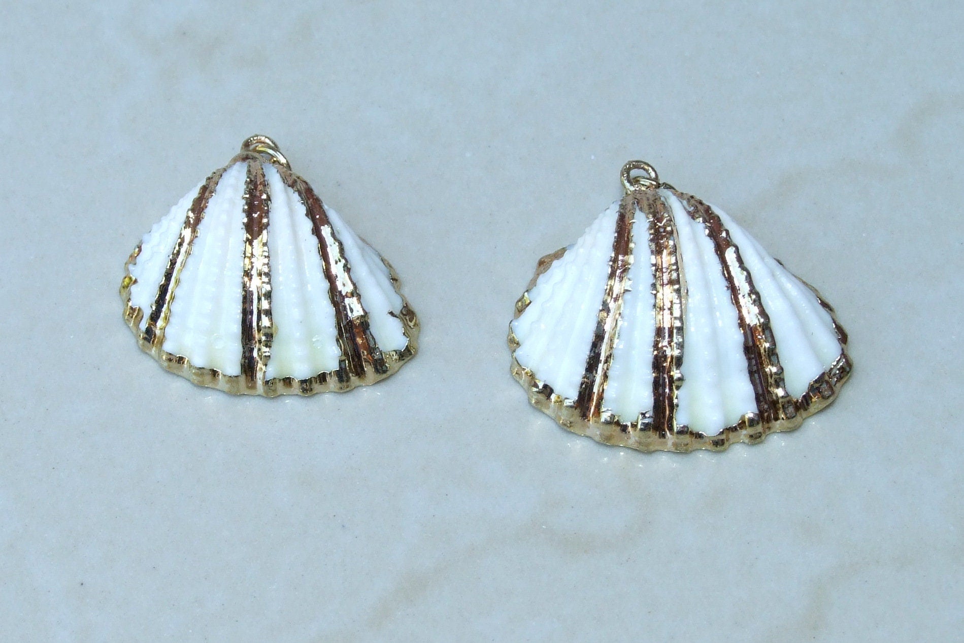 Gold Seashell, Natural Sea Shell Pendant, Clam Shell, Bead Pendant, Gold Plated, Ocean, Beach, Summer, BOHO, 25mm to 33mm - EDGBeadsandGems