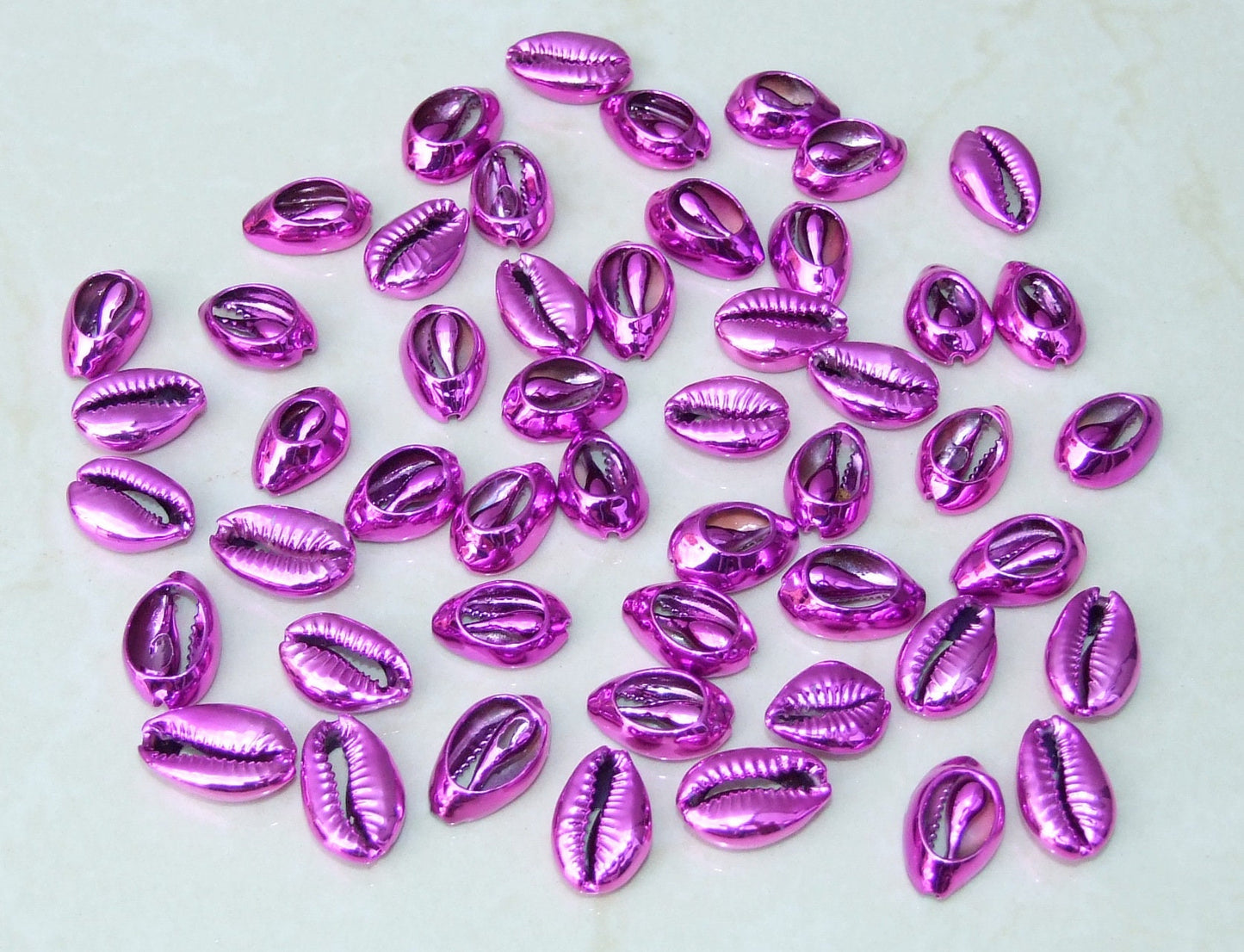 5 Multi-Colored Cowrie Shell Connector, Natural Seashell Pendant, Money Shell, Sea Shell, Plated Seashell, Shell Pendant, Beach, 16-20mm - EDGBeadsandGems