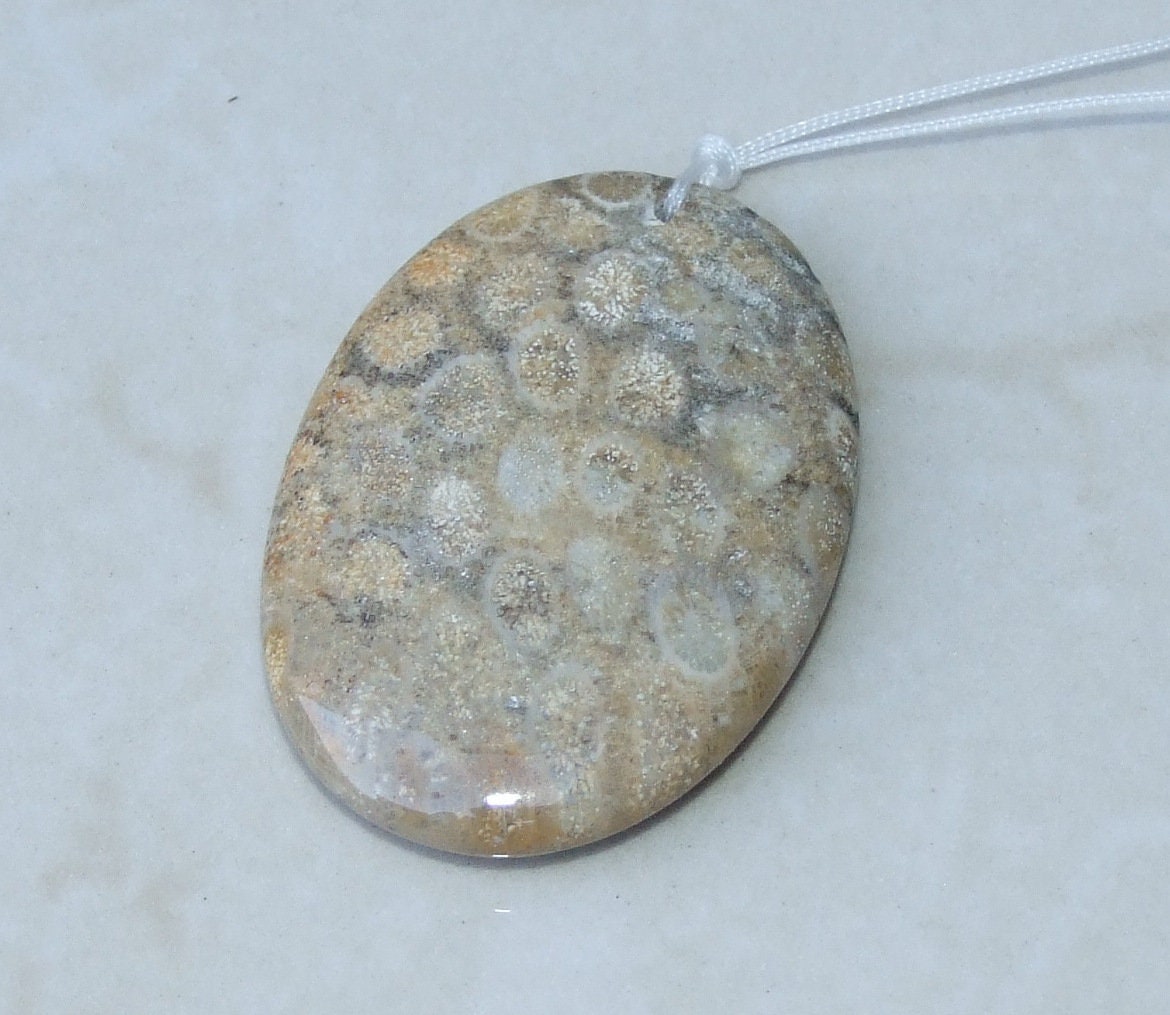 Fossil Coral Agate Pendant, Natural Stone Pendant, Druzy Pendant, Gemstone Pendant, Jewelry Stone, Necklace Pendant, 35mm x 50mm - 9486 - EDGBeadsandGems