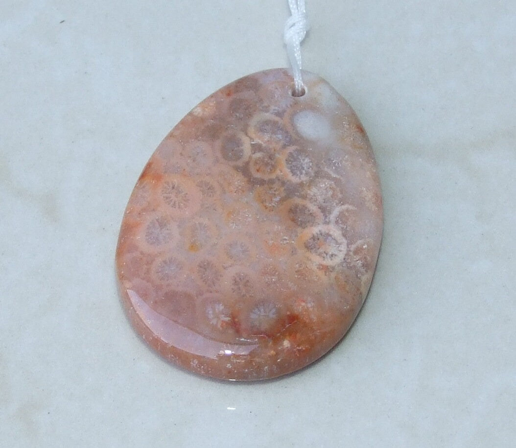 Fossil Coral Agate Pendant, Natural Stone Pendant, Druzy Pendant, Gemstone Pendant, Jewelry Stone, Necklace Pendant, 32mm x 45mm - 9490 - EDGBeadsandGems