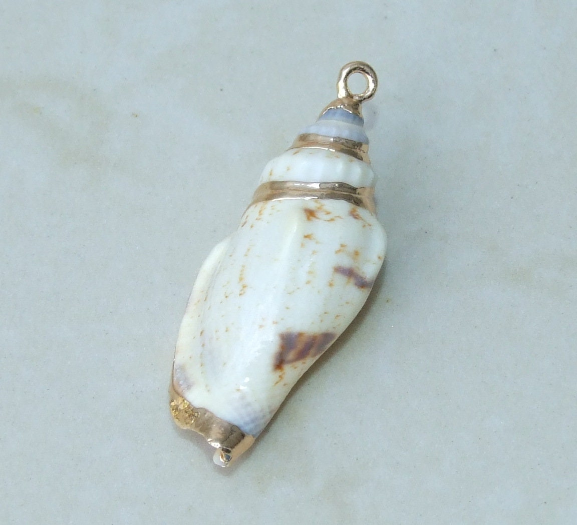 Gold Edge Natural Spiral Sea Shell Pendant, Spiral Shell Bead, Seashell Pendant, Cone Conch Shell, Beach, Ocean, Summer, Small/Large 6-02 - EDGBeadsandGems