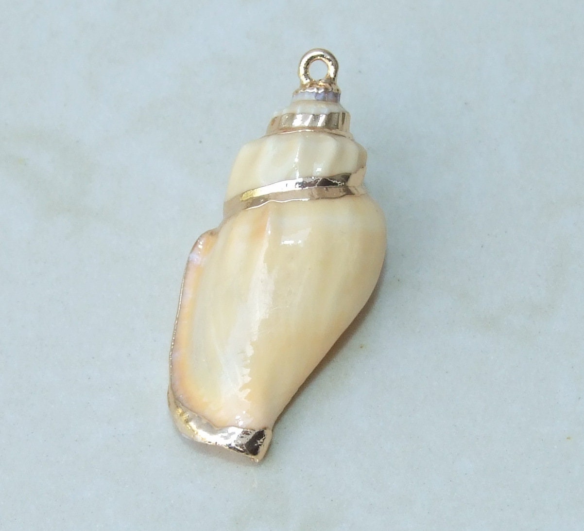 Gold Edge Natural Spiral Sea Shell Pendant, Spiral Shell Bead, Seashell Pendant, Cone Shell, Conch Shell, Beach, Ocean, Summer, Small/Large - EDGBeadsandGems