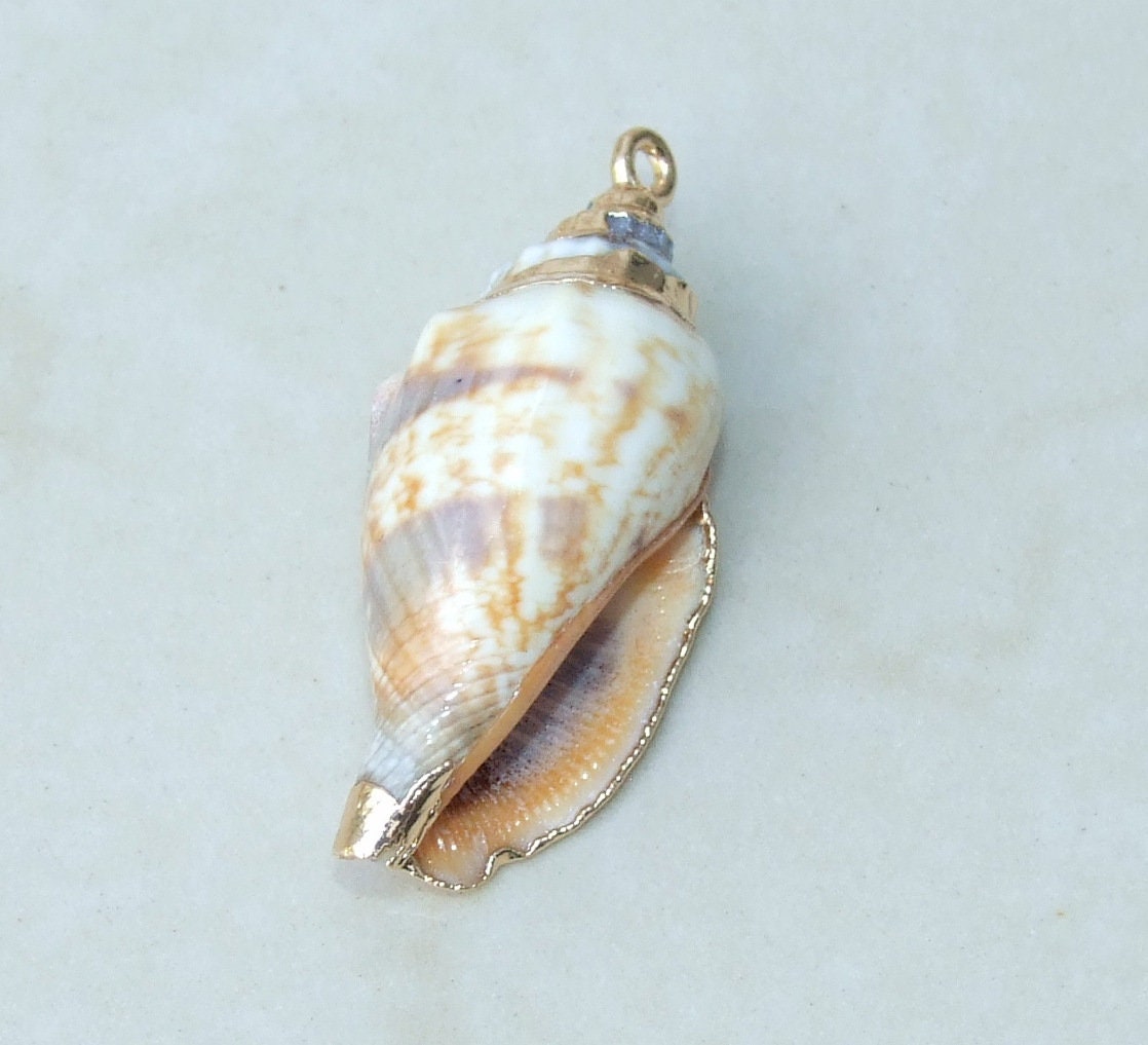 Gold Edge Natural Spiral Sea Shell Pendant, Spiral Shell Bead, Seashell Pendant, Cone Conch Shell, Beach, Ocean, Summer, Small/Large 6-02 - EDGBeadsandGems