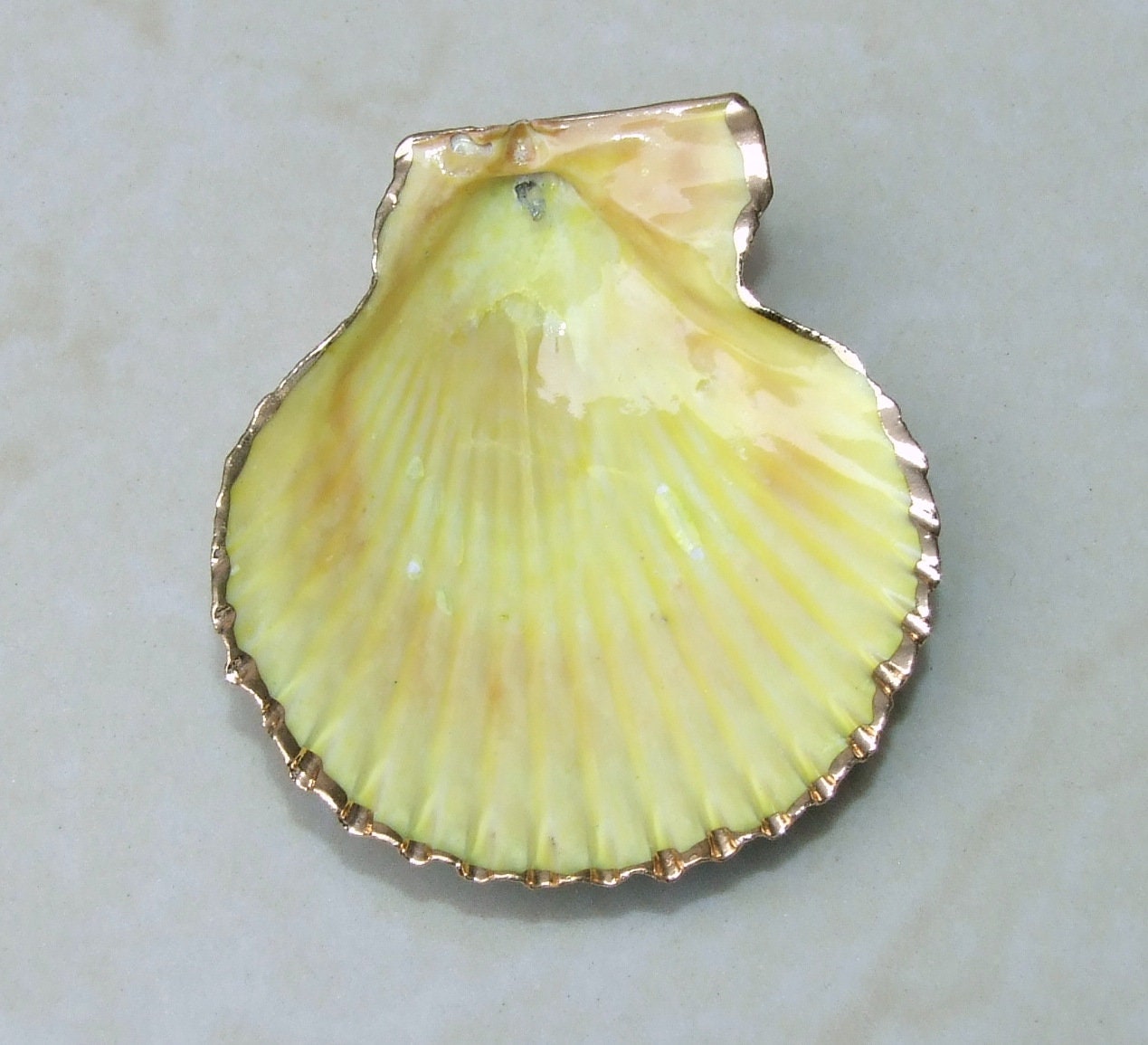 Hand Painted Scallop Shell Pendant, Ocean Inspired Beach Jewelry, Gold Plated Edge (35-52mm) 05D - EDGBeadsandGems