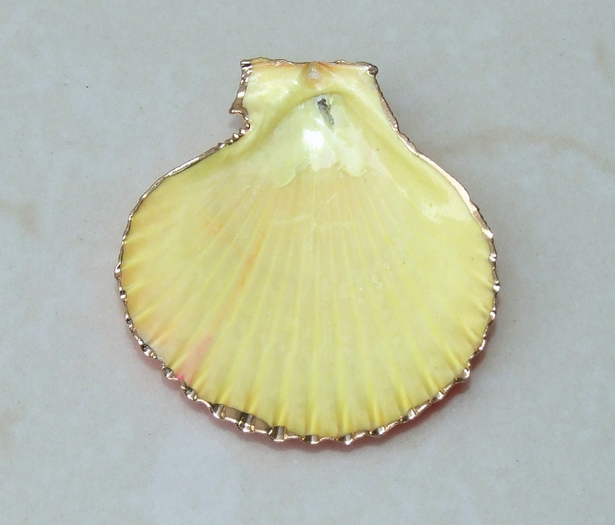 Hand Painted Scallop Shell Pendant, Gold Edge Loop, Natural Seashell, Sea Shell, Shell Necklace, Beach Jewelry, Ocean Seashell, 35-60mm 05N - EDGBeadsandGems