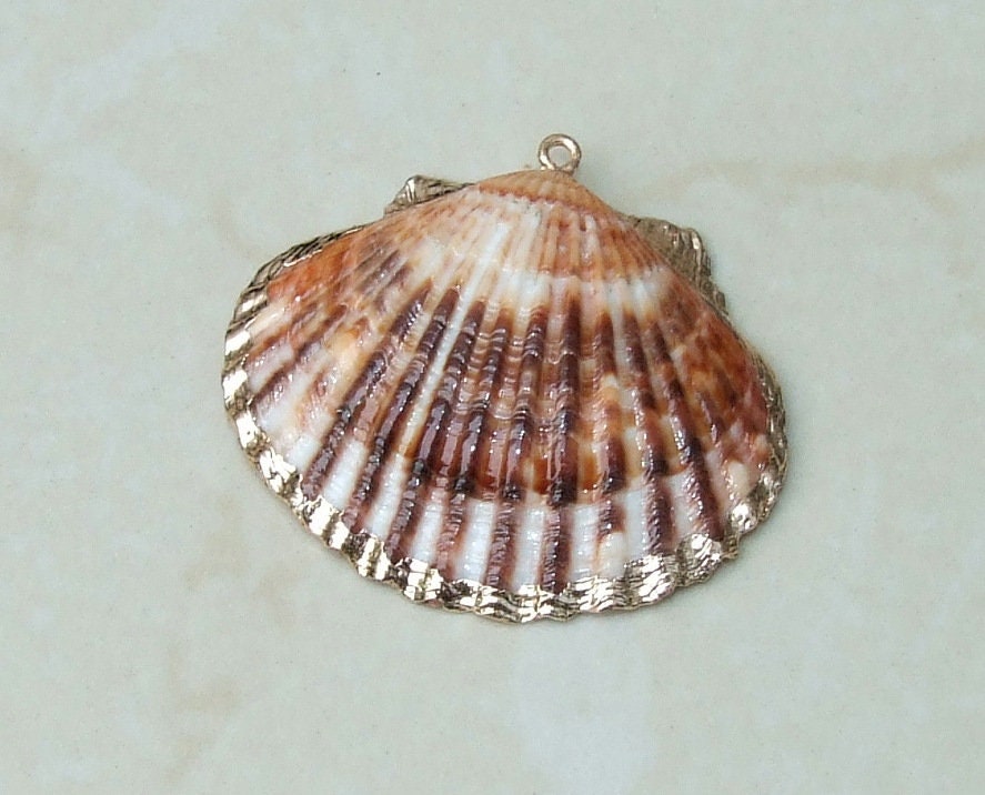 Natural Scallop Shell Pendant, Gold Edge, Deep Sea Shell, Shell Necklace, Beach Jewelry, Ocean Seashell, Medium, Large, In Three Colors, NB - EDGBeadsandGems
