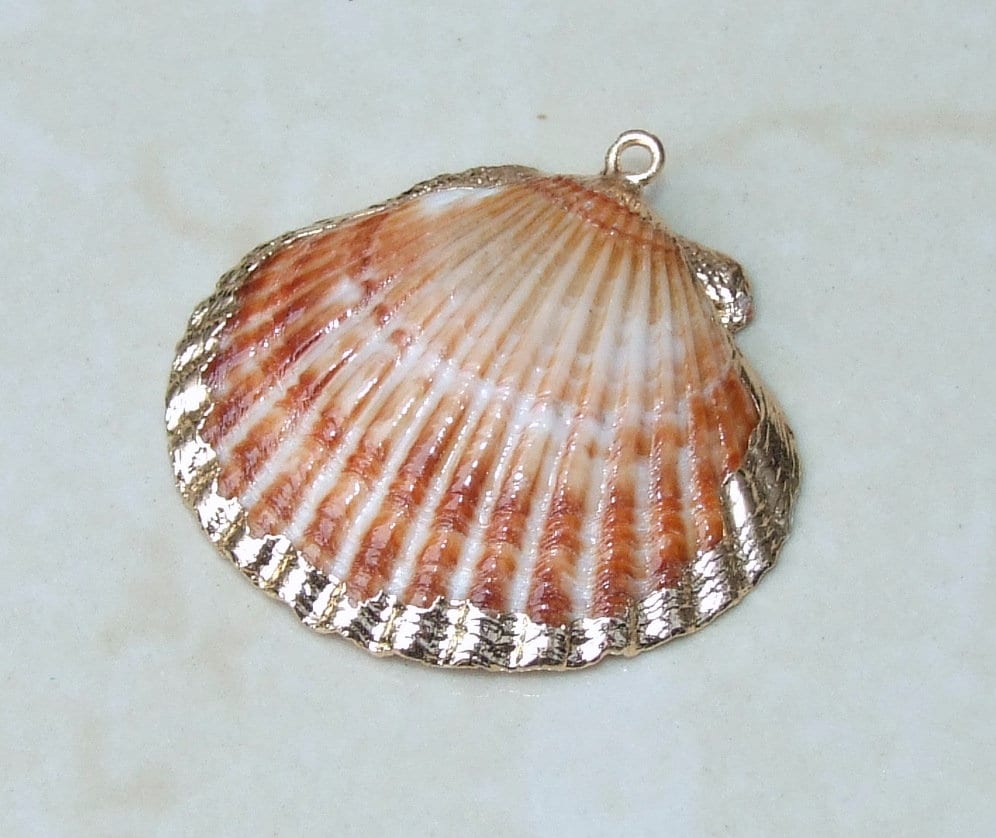 Natural Scallop Shell Pendant, Gold Edge, Deep Sea Shell, Shell Necklace, Beach Jewelry, Ocean Seashell, Medium, Large, In Three Colors, NB - EDGBeadsandGems